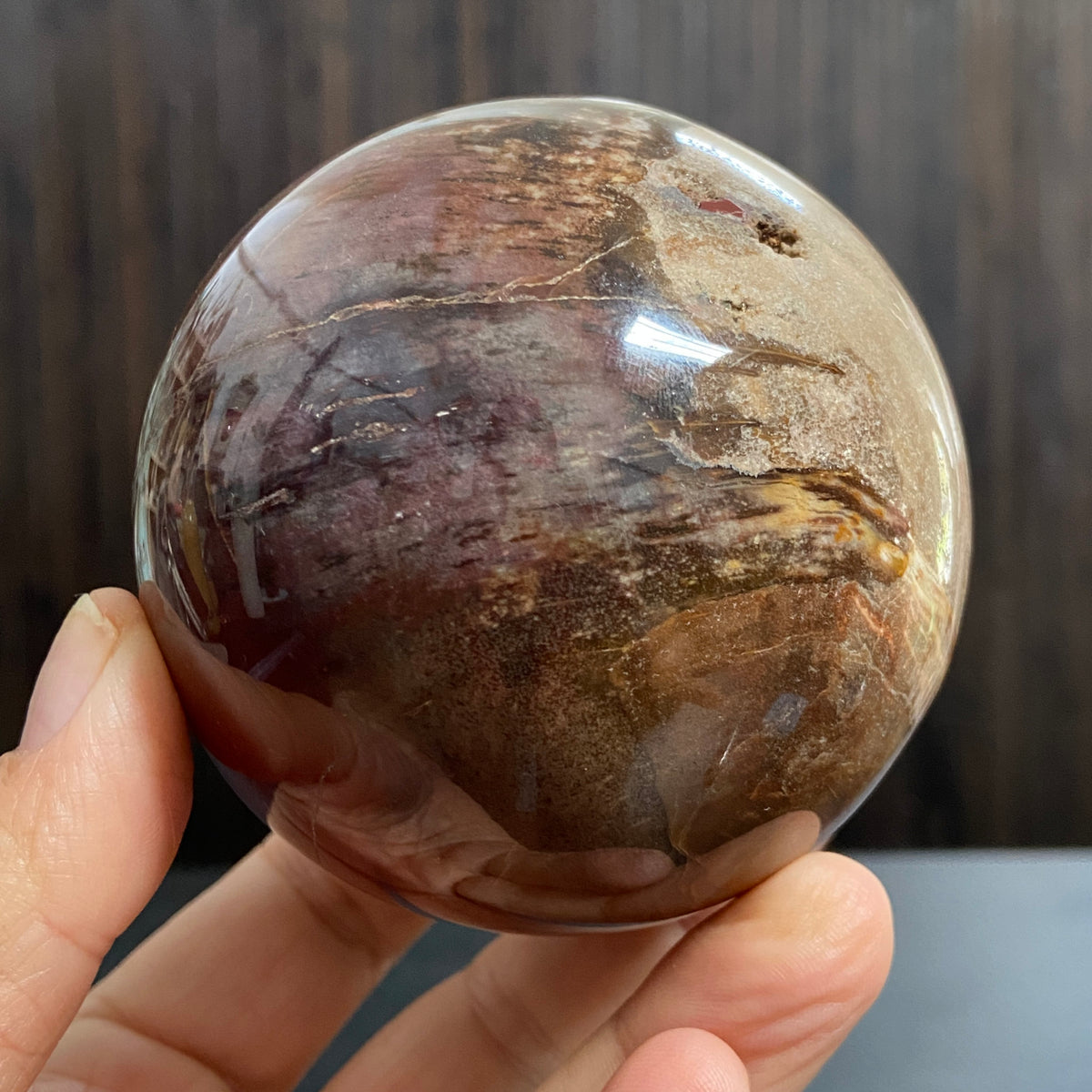 Redwood Petrified Wood Sphere – Madagascar