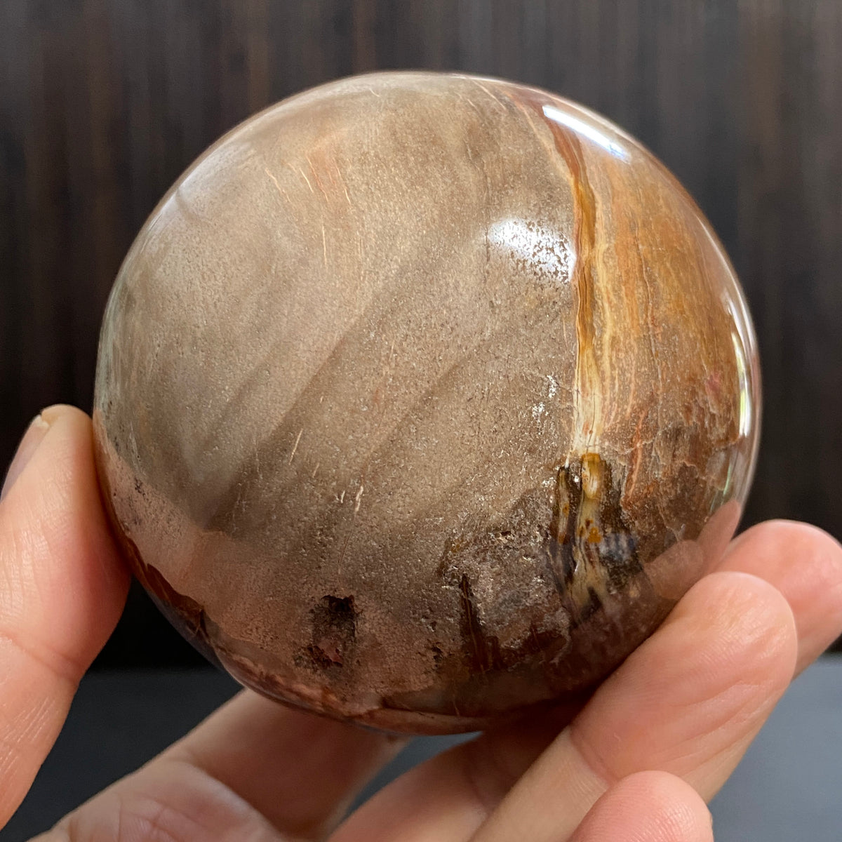 Redwood Petrified Wood Sphere – Madagascar