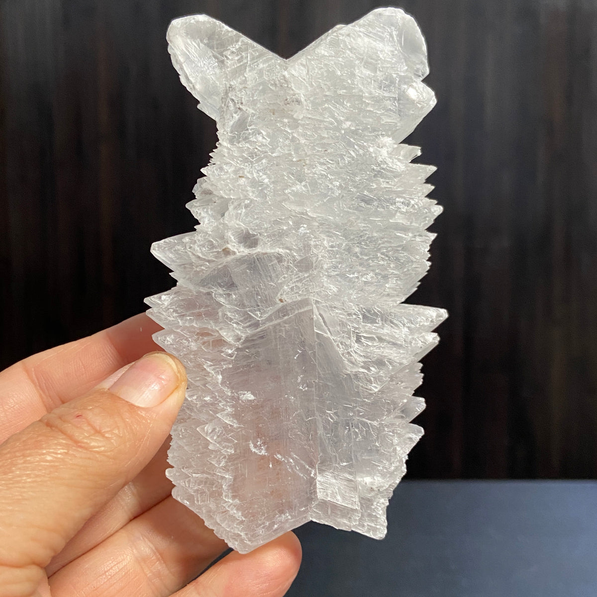 Fishtail Selenite – Mexico