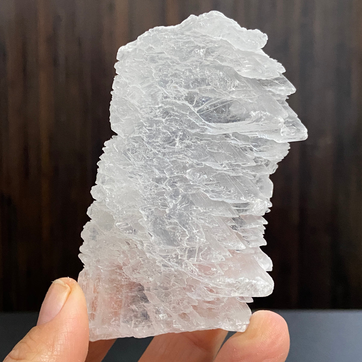 Fishtail Selenite – Mexico
