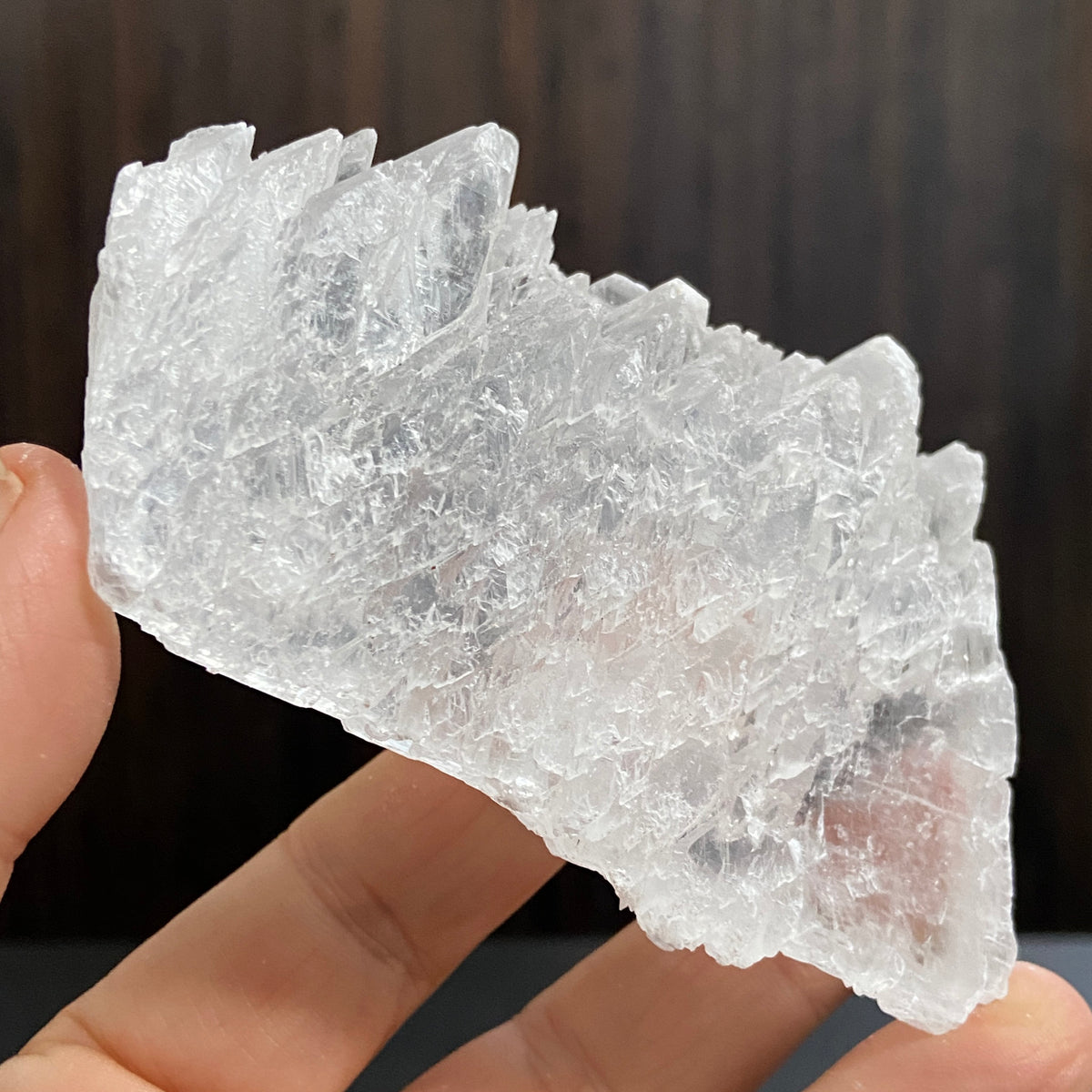 Fishtail Selenite – Mexico