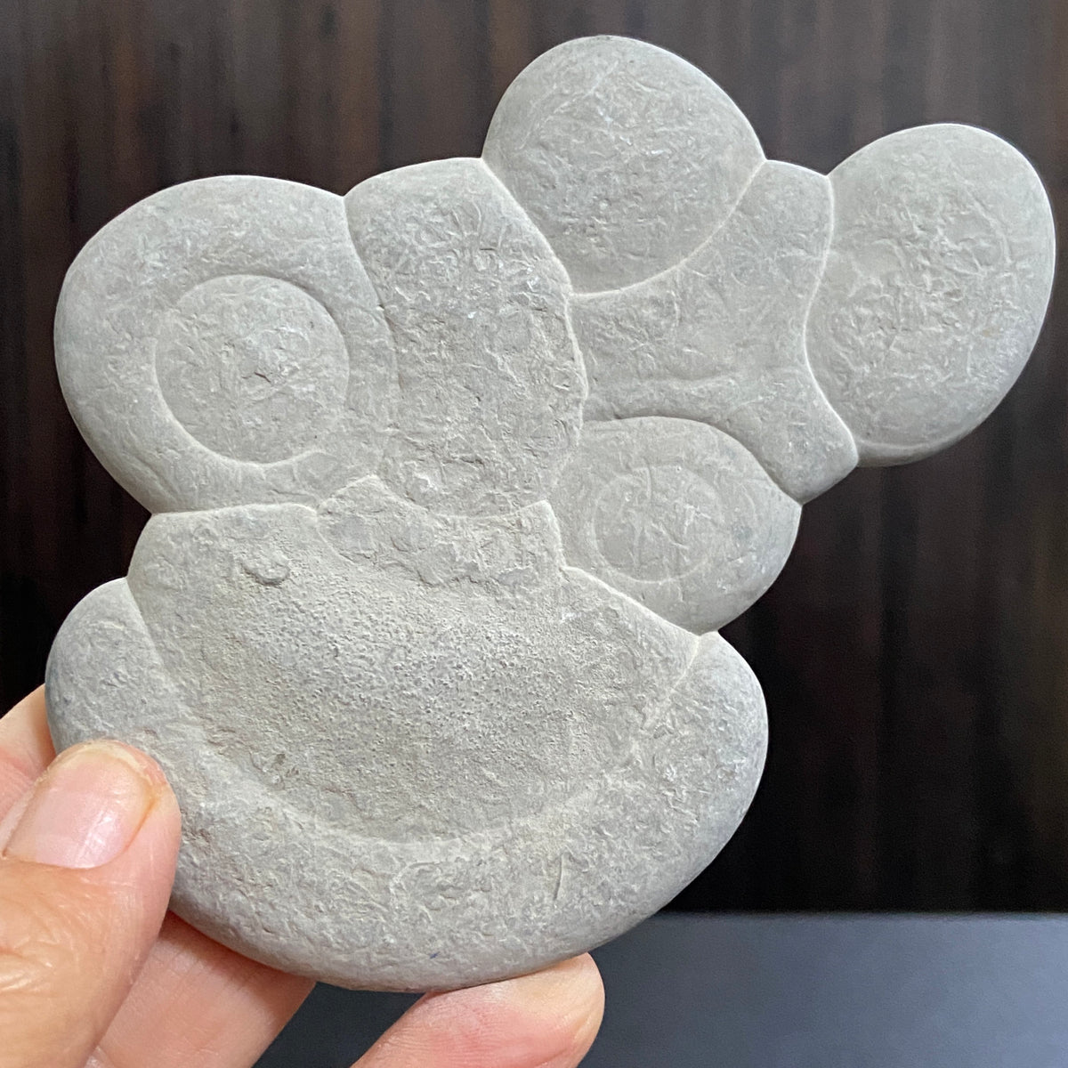 Canadian Fairy Stone – Abitibi, Quebec