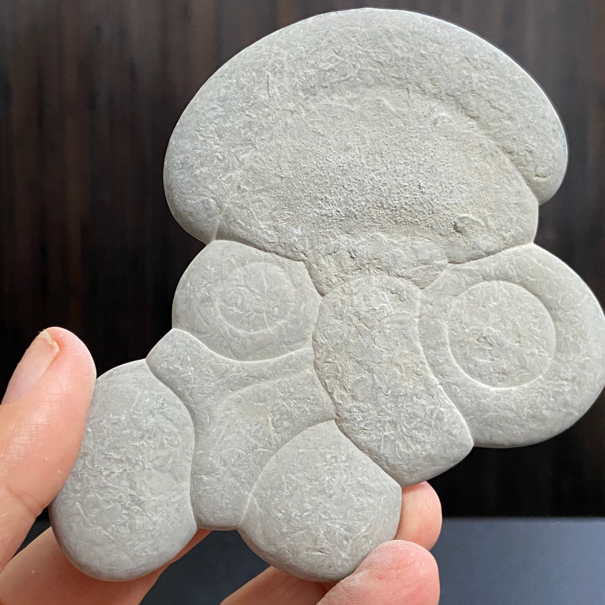 Canadian Fairy Stone – Abitibi, Quebec