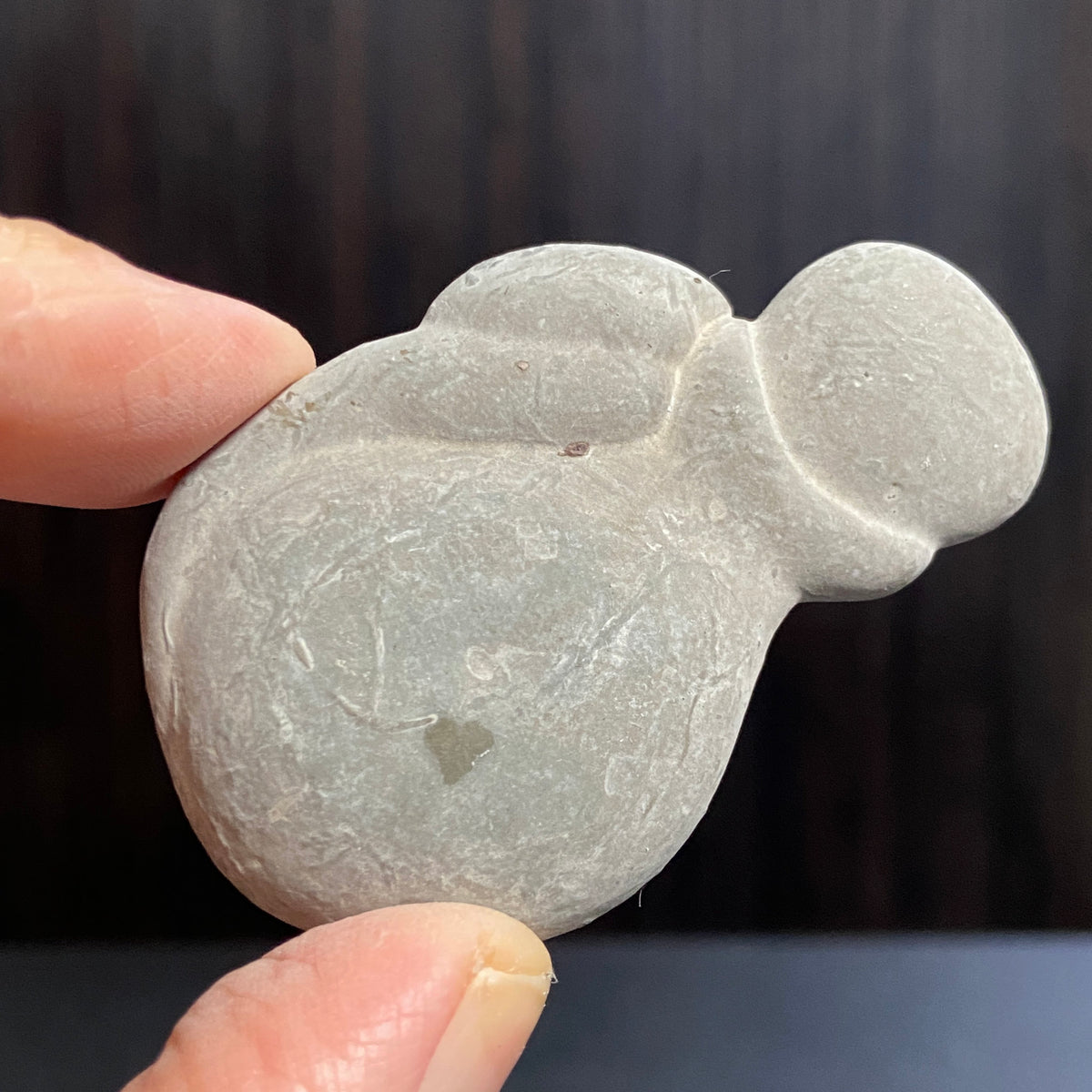 Canadian Fairy Stone – Abitibi, Quebec