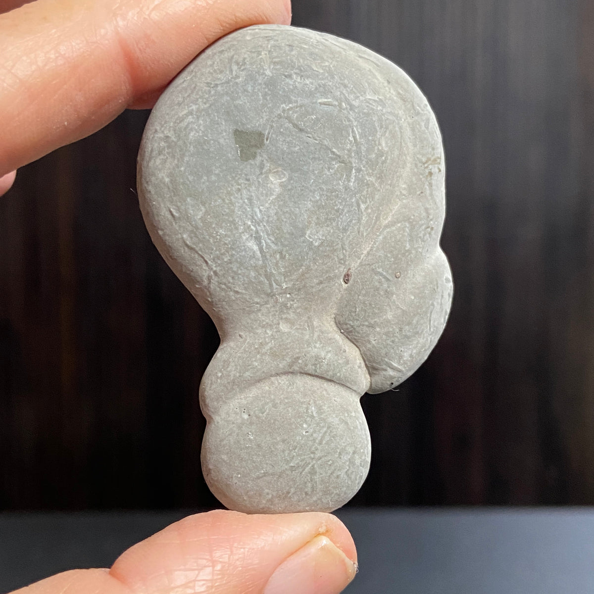 Canadian Fairy Stone – Abitibi, Quebec