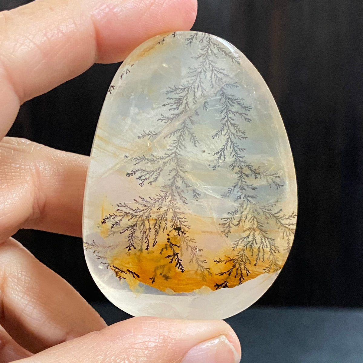 Golden Healer Dendritic Quartz Display Piece