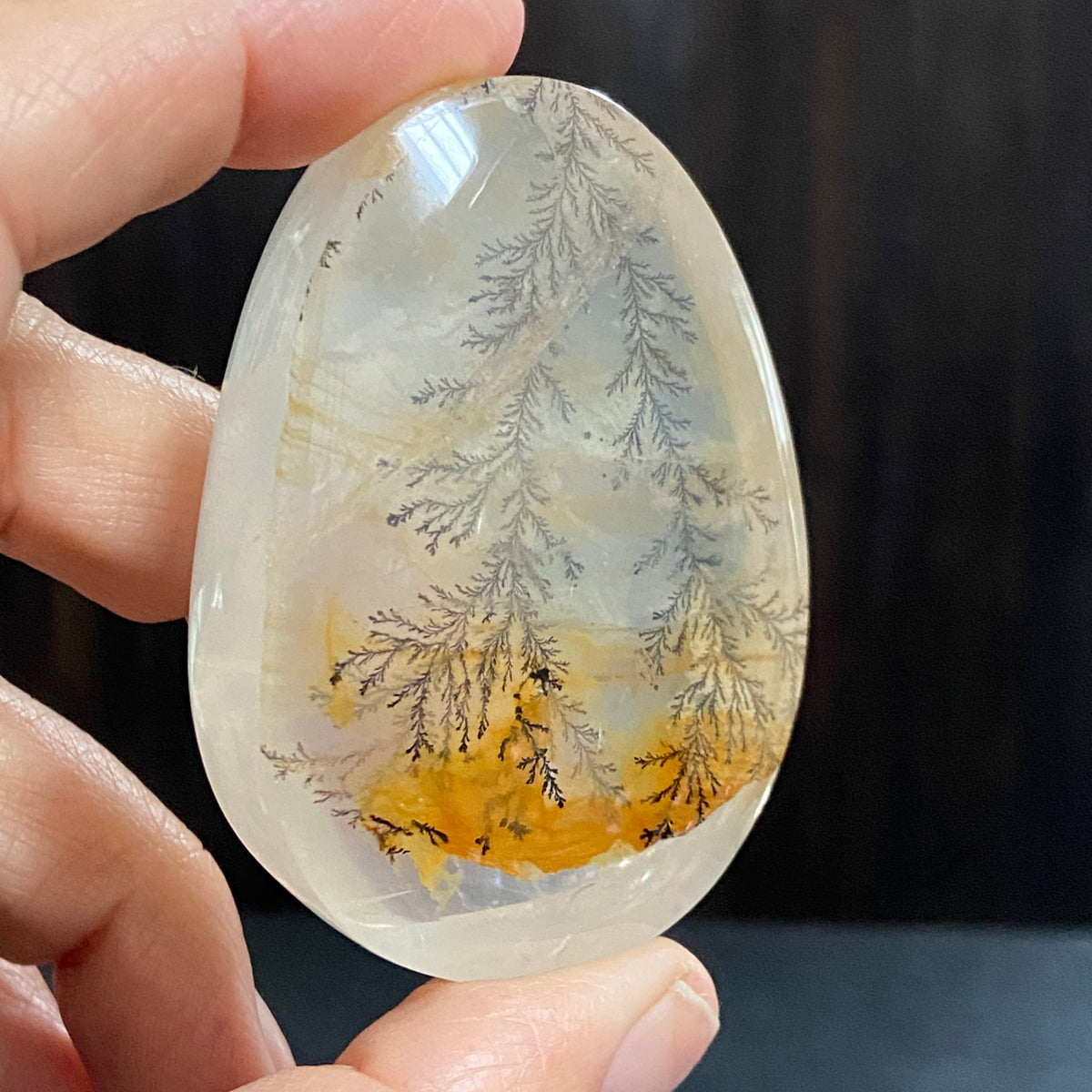 Golden Healer Dendritic Quartz Display Piece