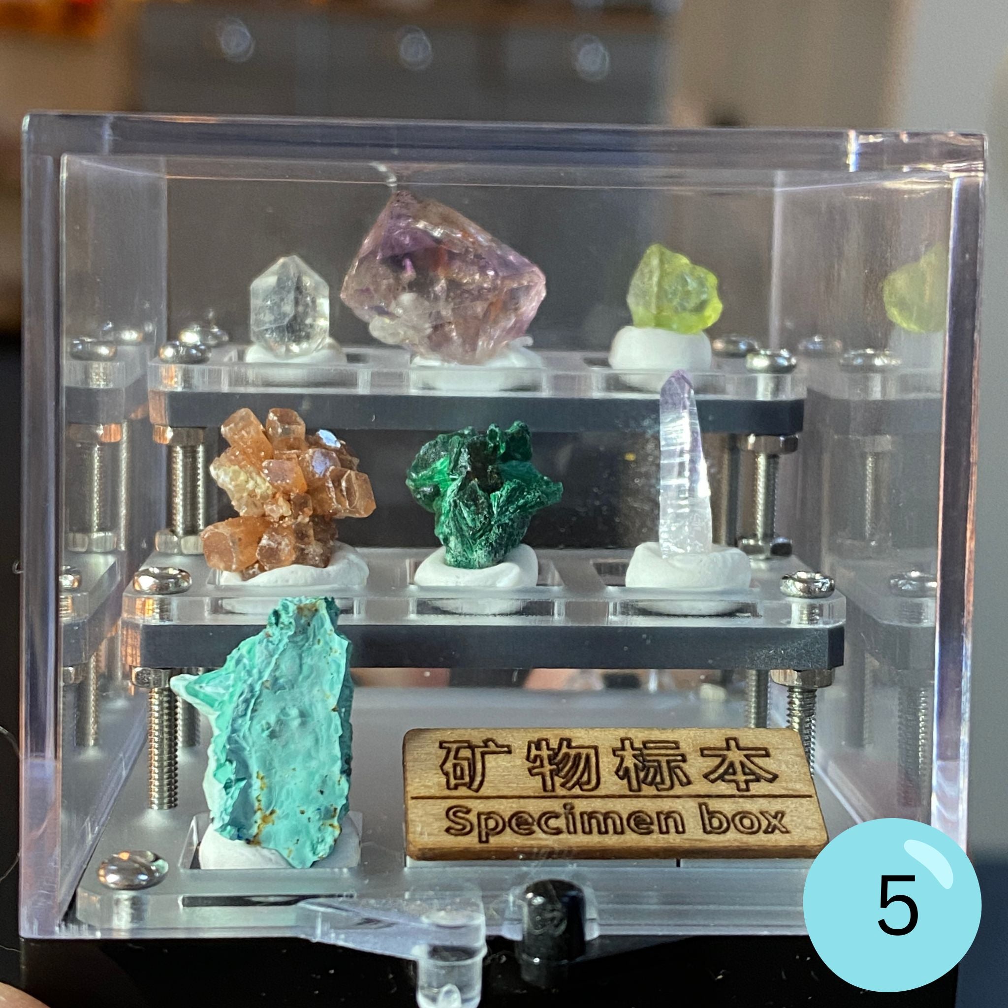 Crystal & Mineral Specimen Boxes