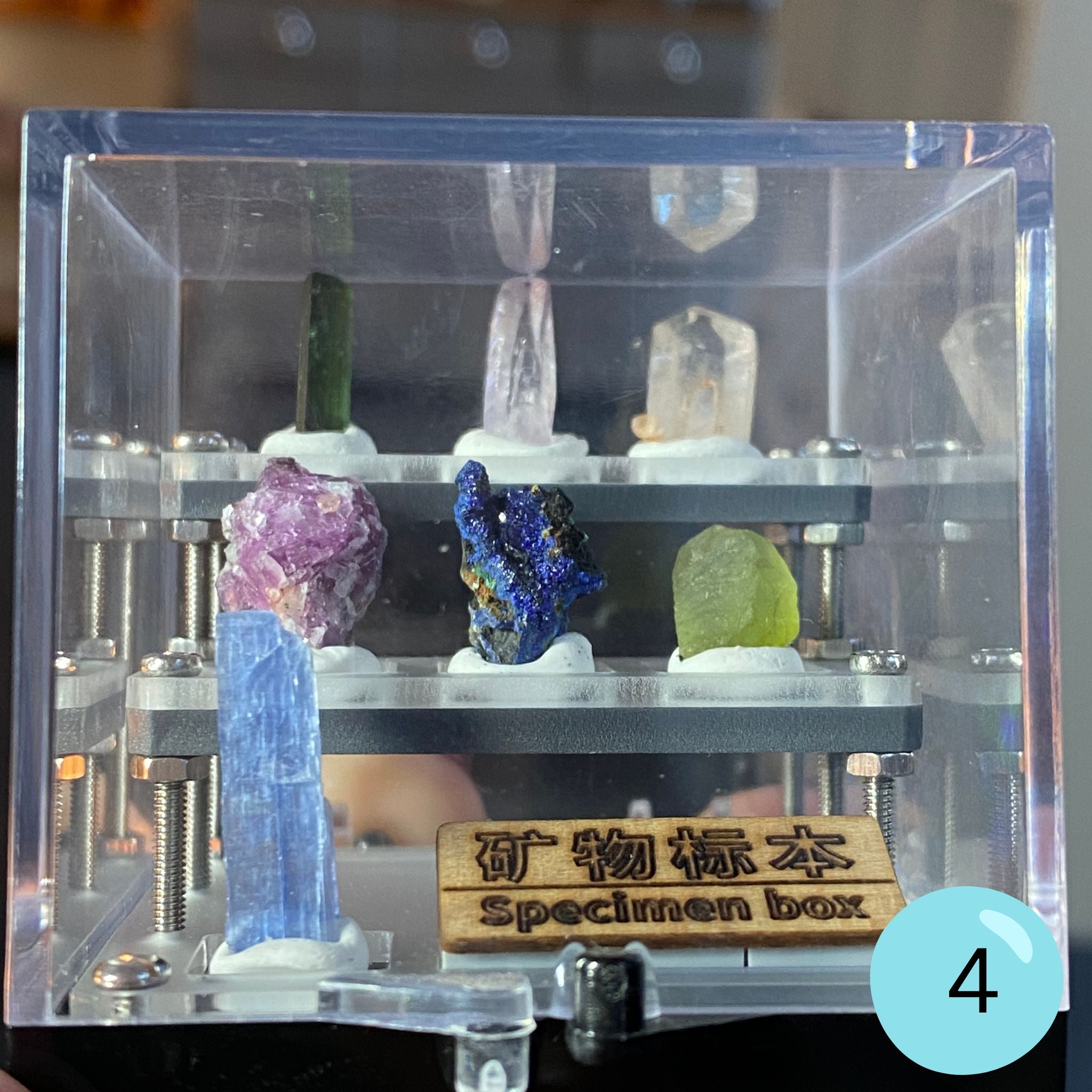 Crystal & Mineral Specimen Boxes