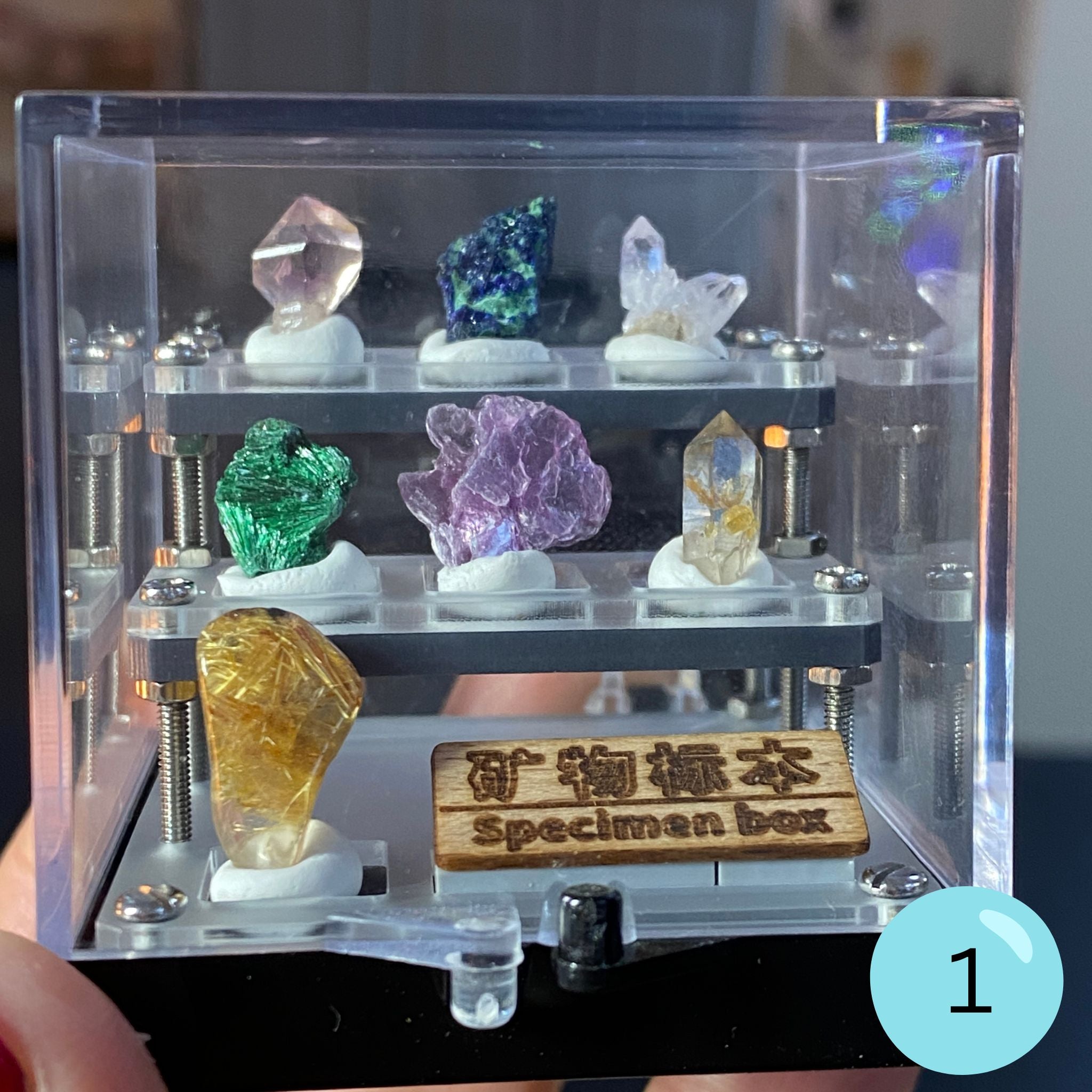 Crystal & Mineral Specimen Boxes