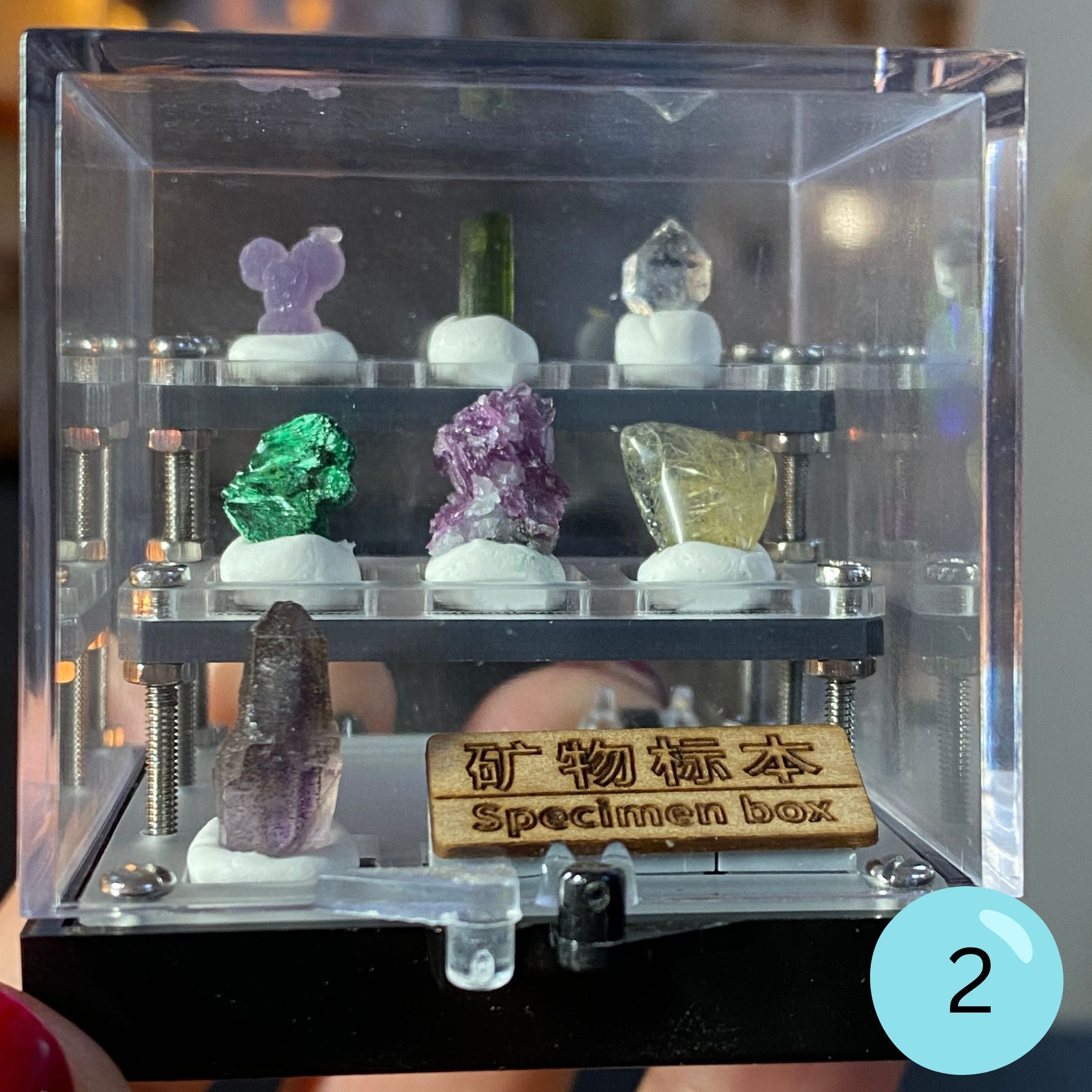 Crystal & Mineral Specimen Boxes