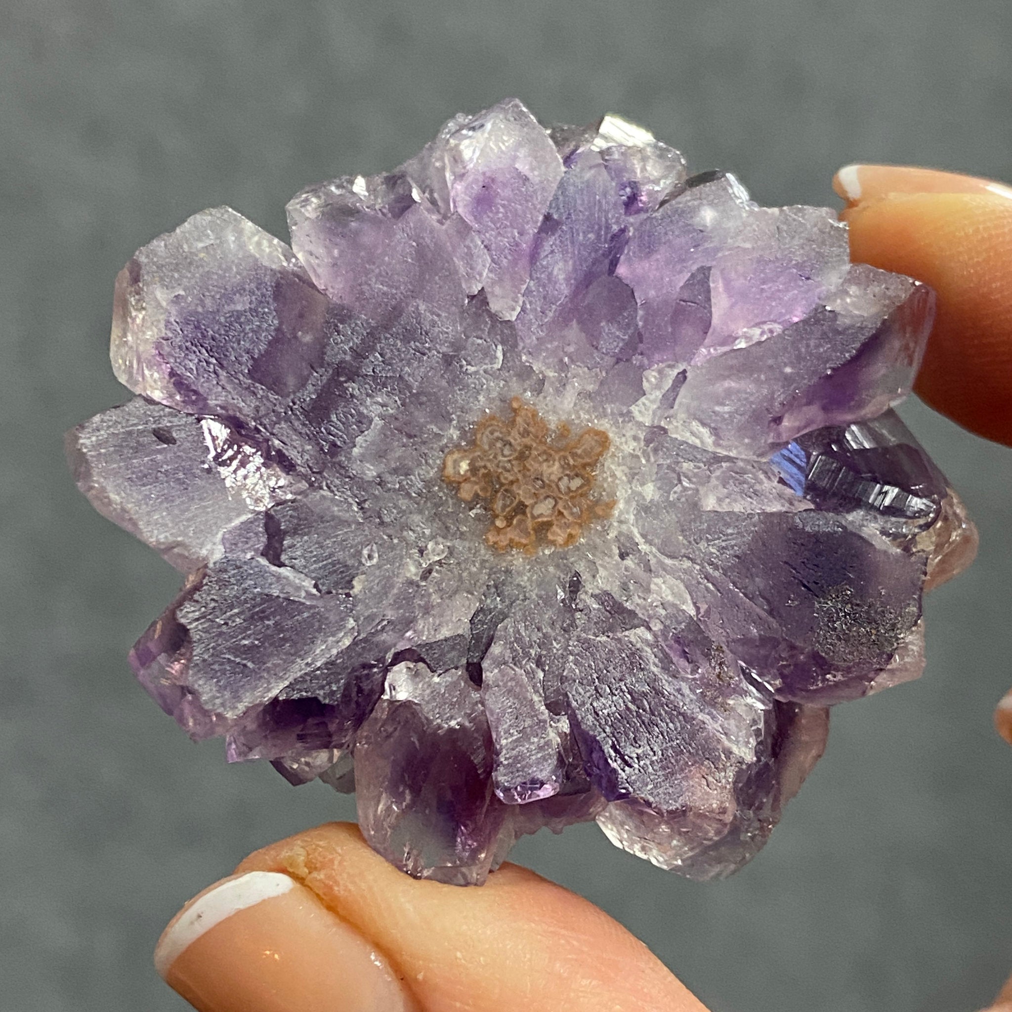 Amethyst Flower – Stalactite Slice - Castle Rocks Cornwall