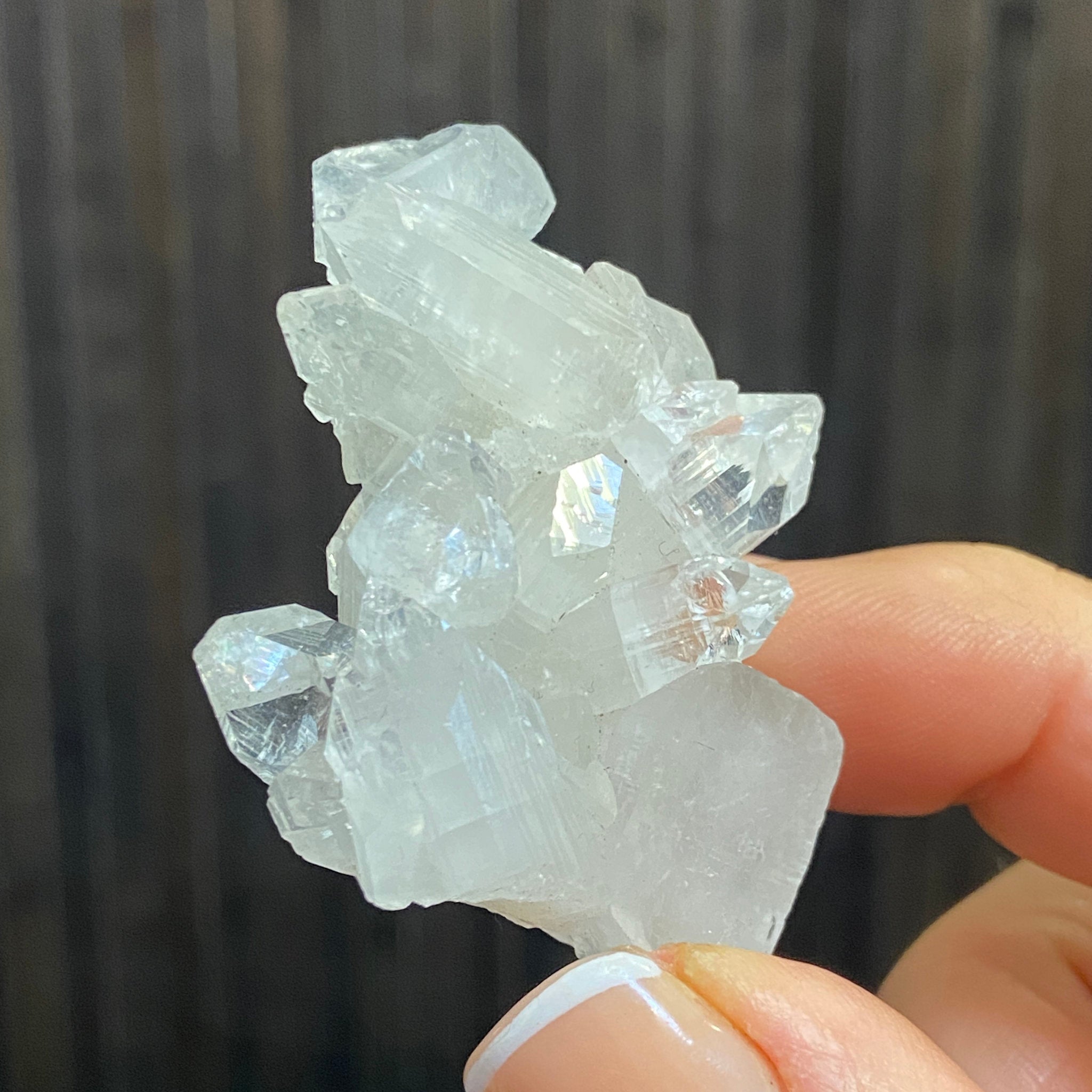 Apophyllite Cluster - India - Castle Rocks Cornwall