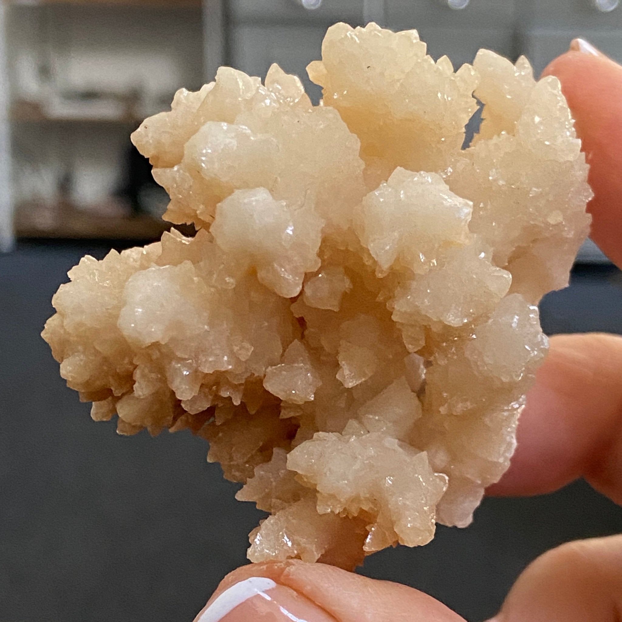 Aragonite Cluster – Morocco - Castle Rocks Cornwall