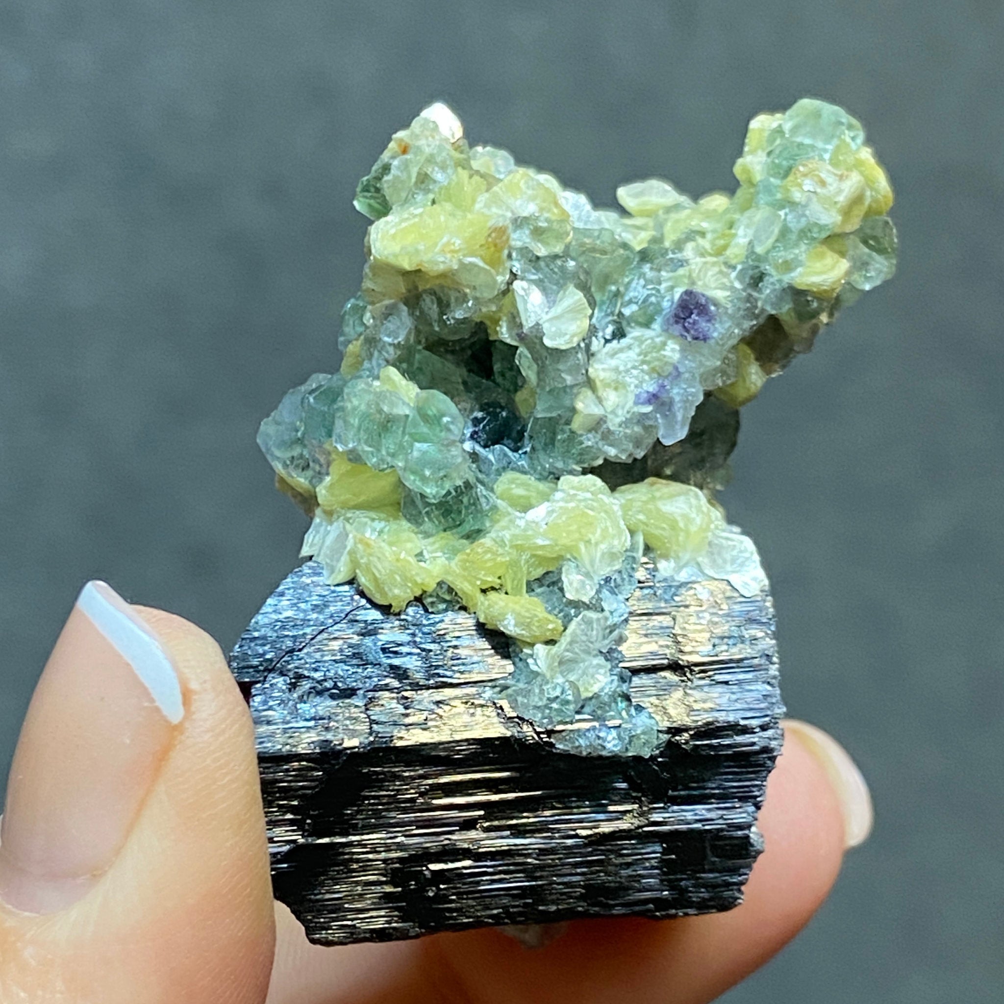 Fluorite with Black Tourmaline, Muscovite and Feldspar - Erongo - Castle Rocks Cornwall