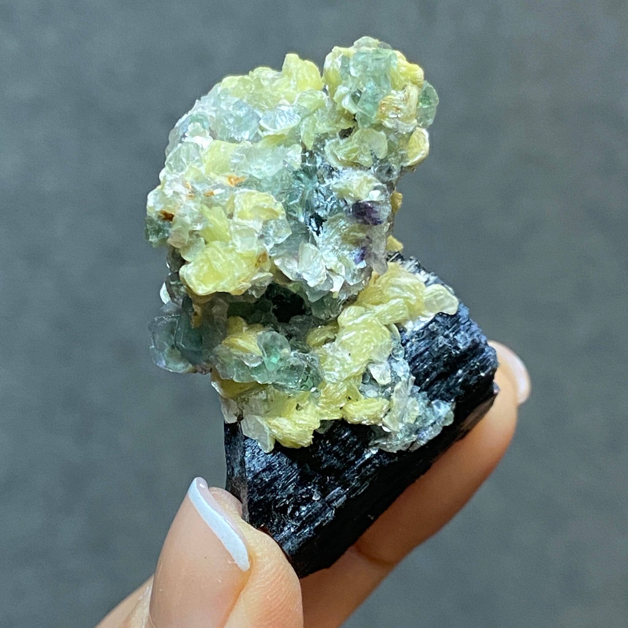 Fluorite with Black Tourmaline, Muscovite and Feldspar - Erongo - Castle Rocks Cornwall