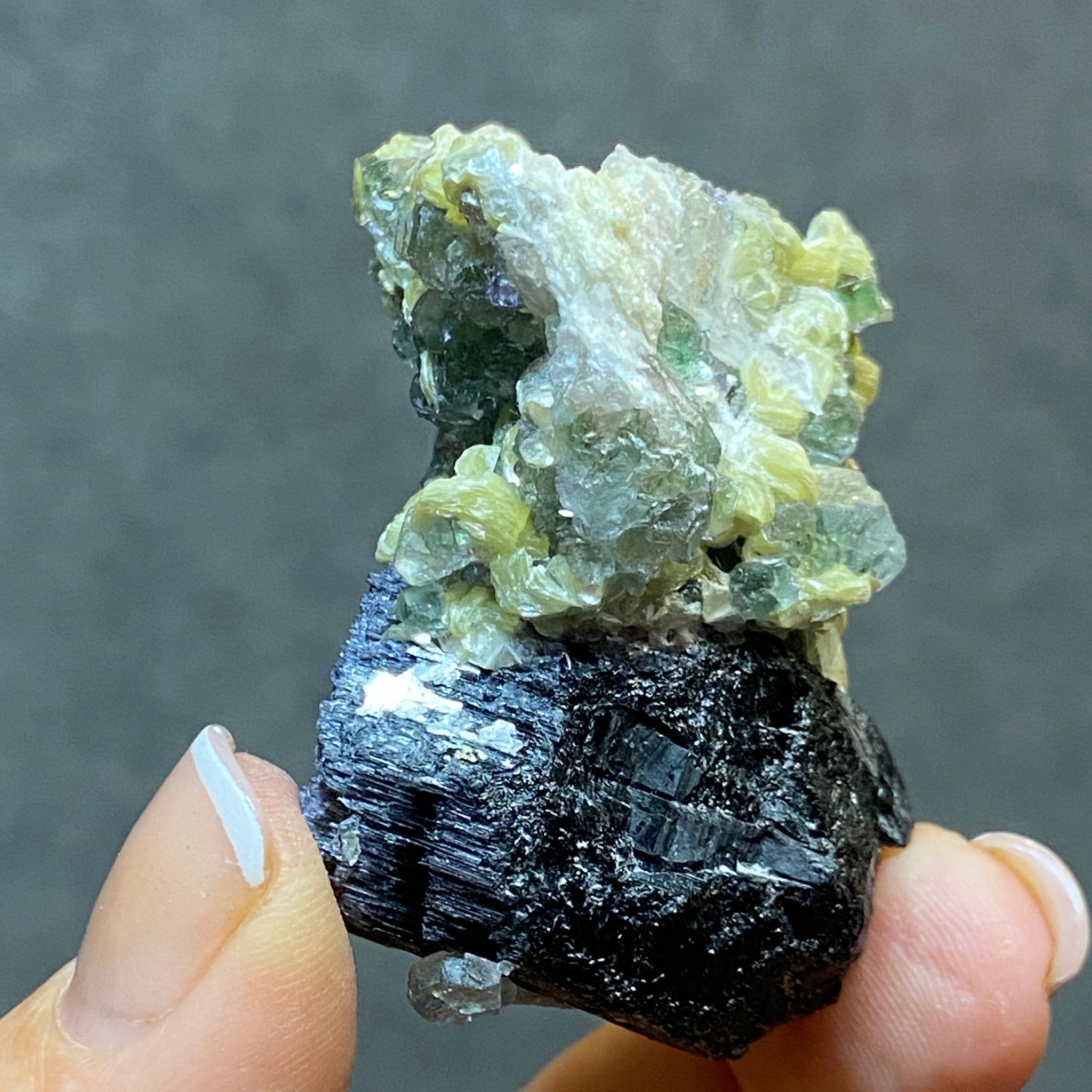 Fluorite with Black Tourmaline, Muscovite and Feldspar - Erongo - Castle Rocks Cornwall