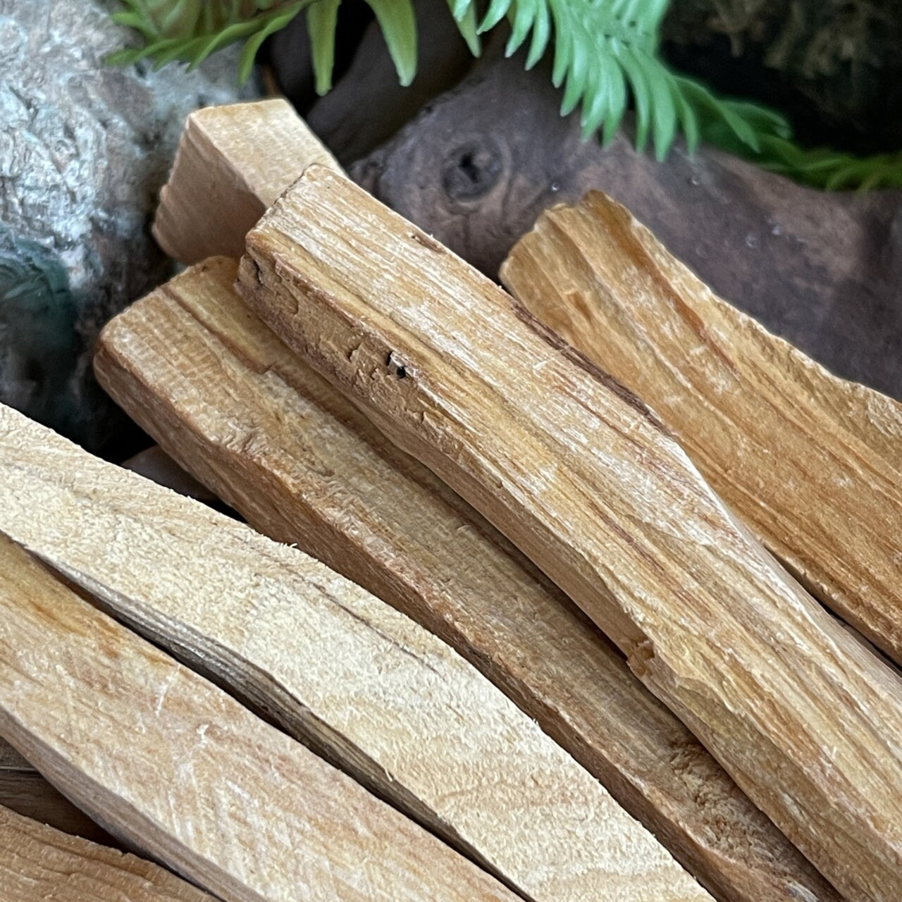 Palo Santo, Ethically Sourced
