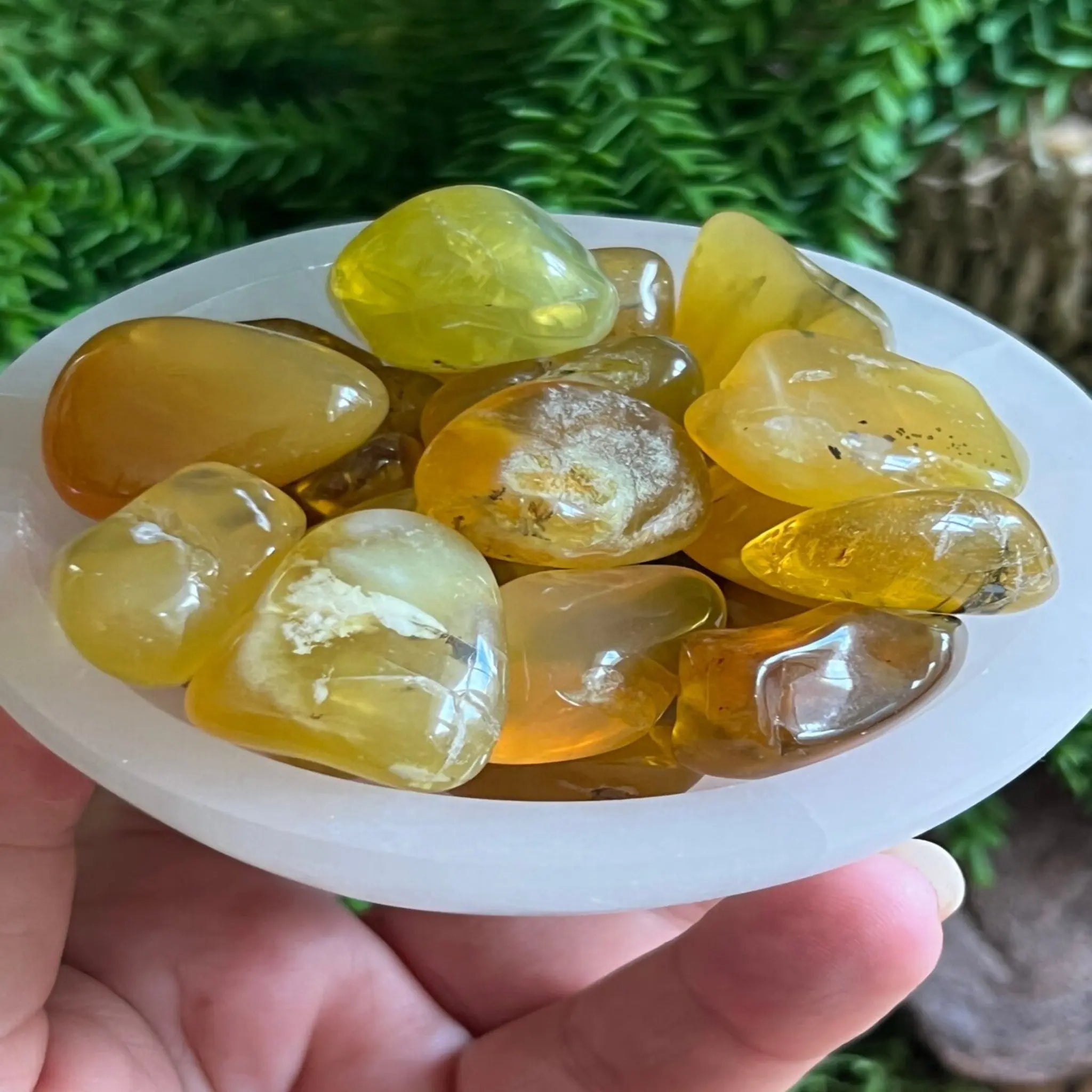 Madagascan Yellow Opal tumble stones Castle Rocks Cornwall