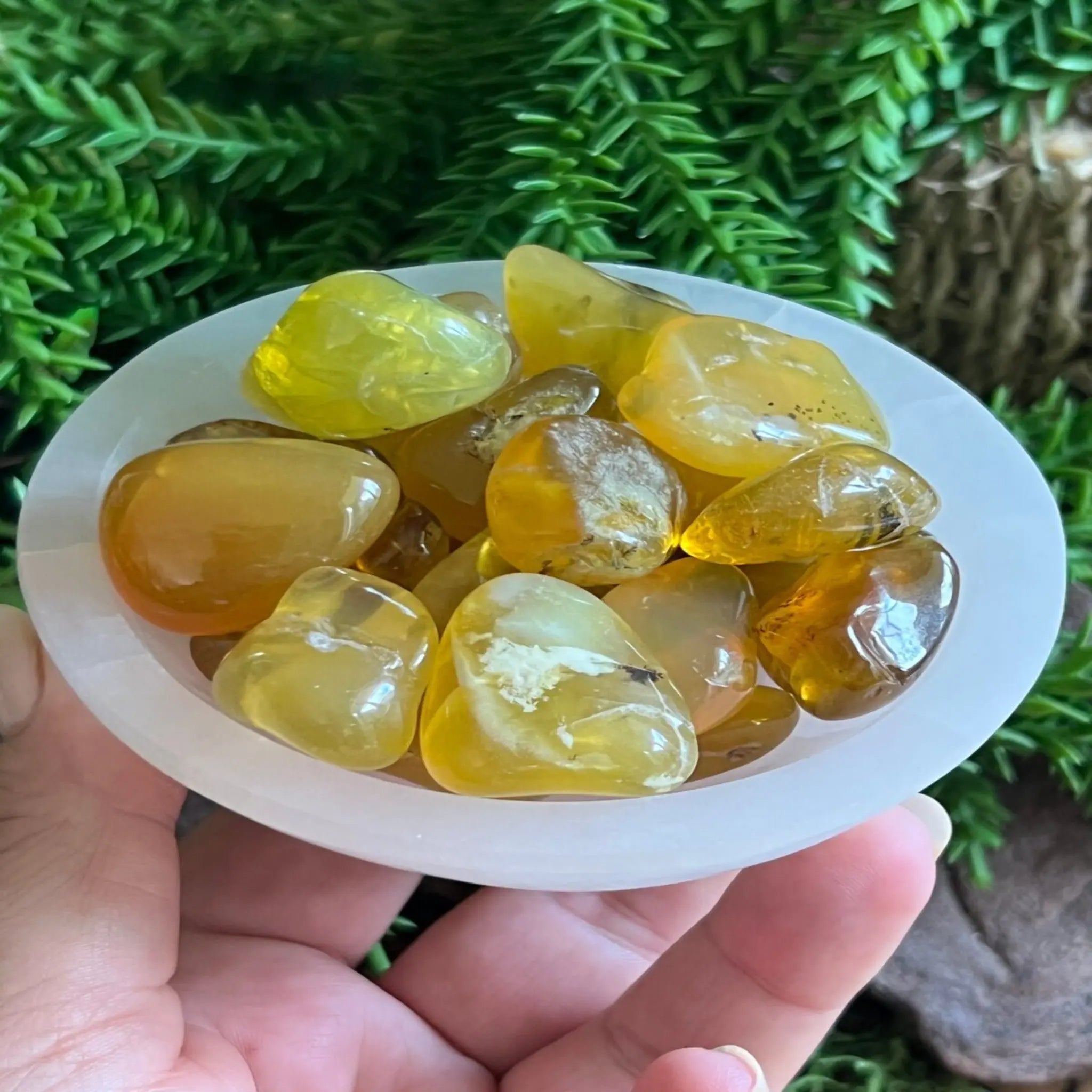 Madagascan Yellow Opal tumble stones Castle Rocks Cornwall