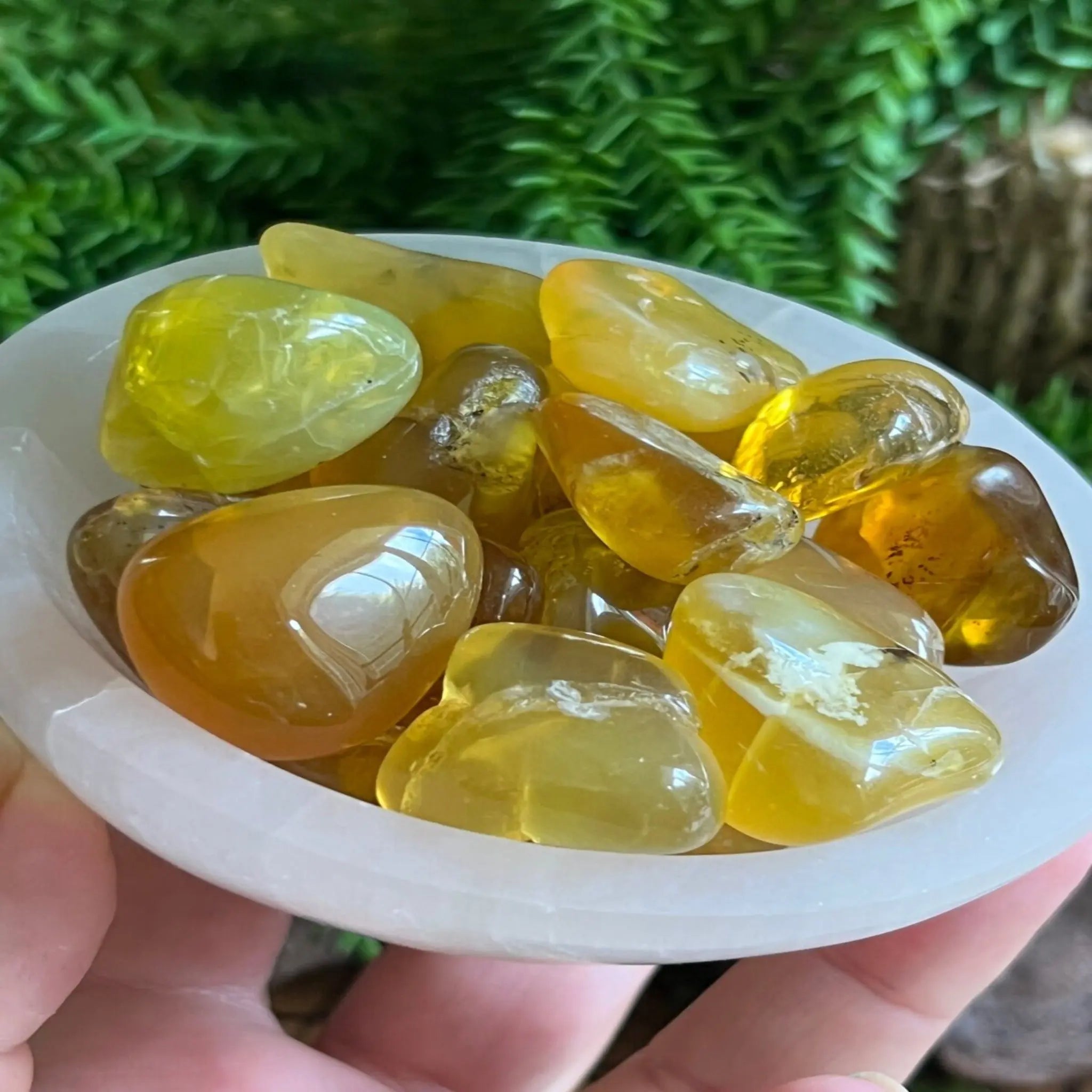 Madagascan Yellow Opal tumble stones Castle Rocks Cornwall