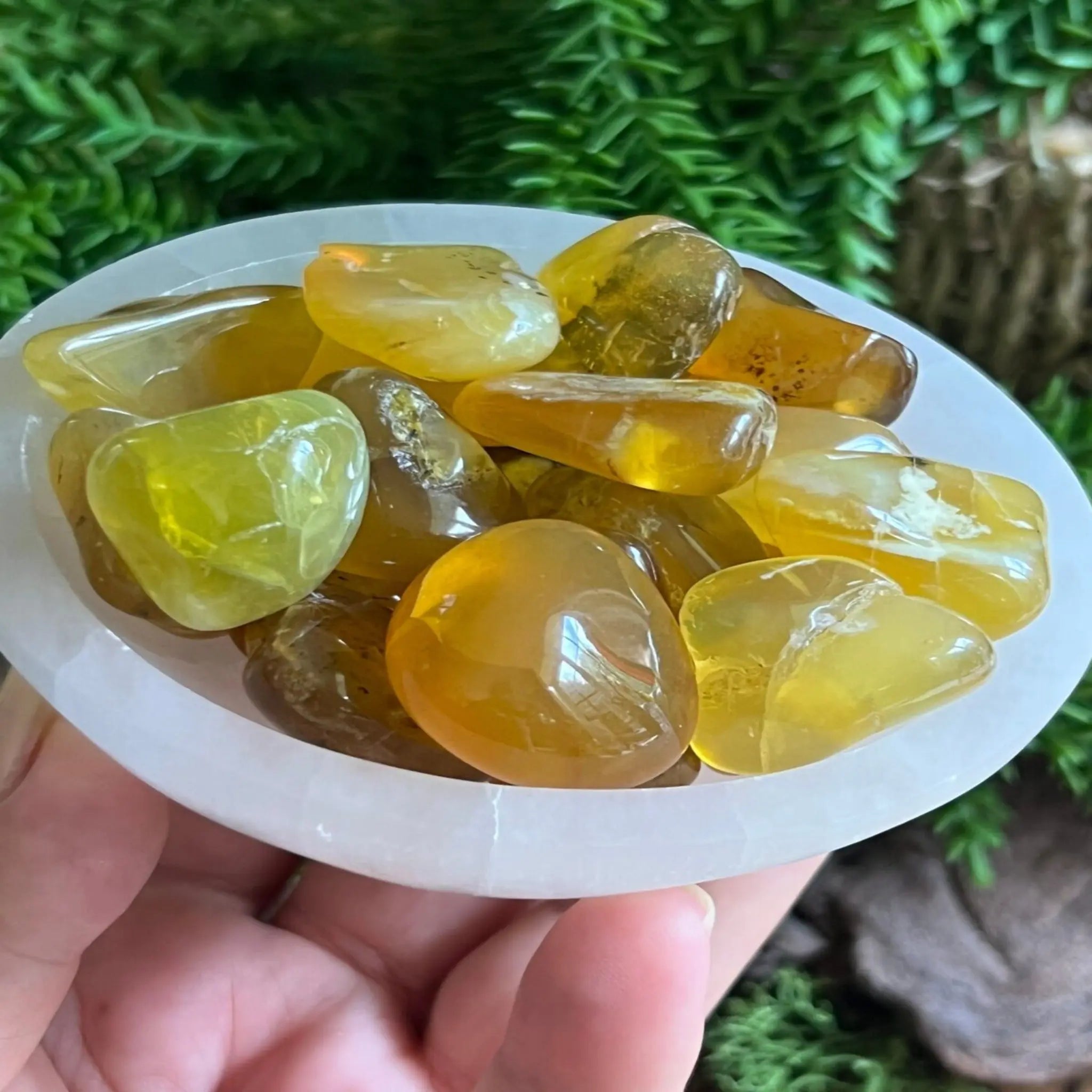 Madagascan Yellow Opal tumble stones Castle Rocks Cornwall