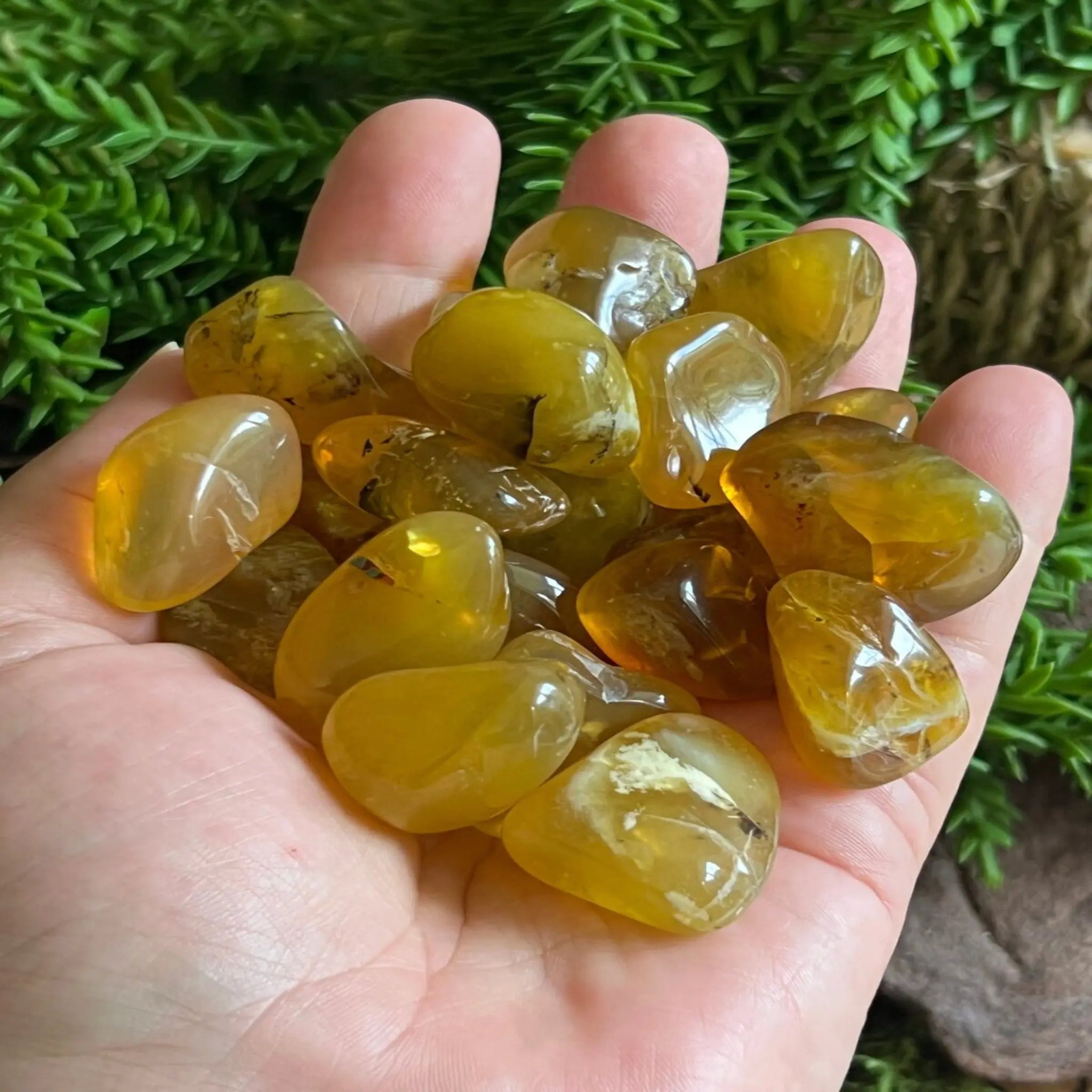 Madagascan Yellow Opal tumble stones Castle Rocks Cornwall