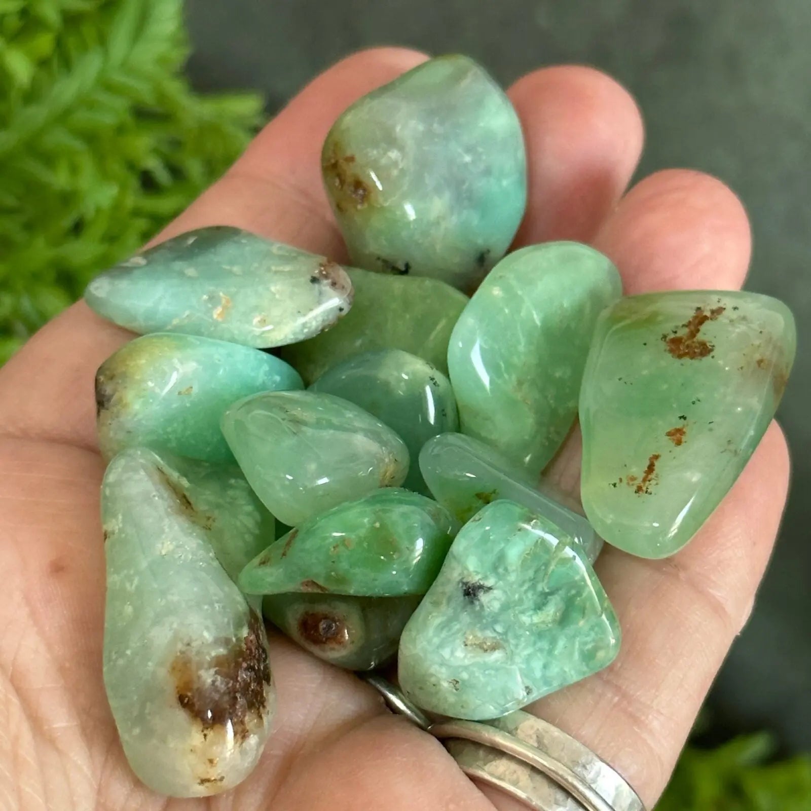 Chrysoprase tumbled stones. Castle Rocks Cornwall