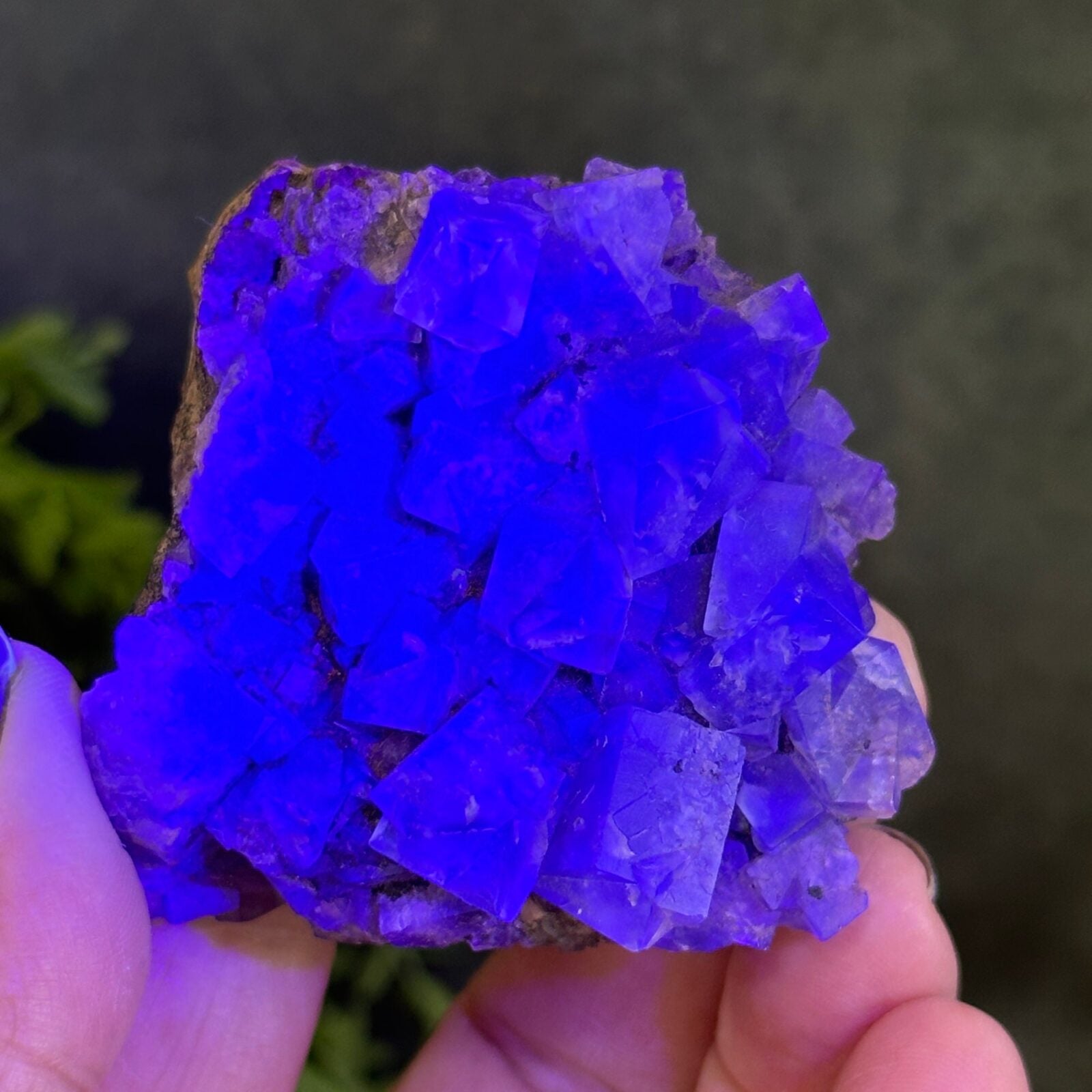 UV active Blue/Green Fluorite cluster from UK