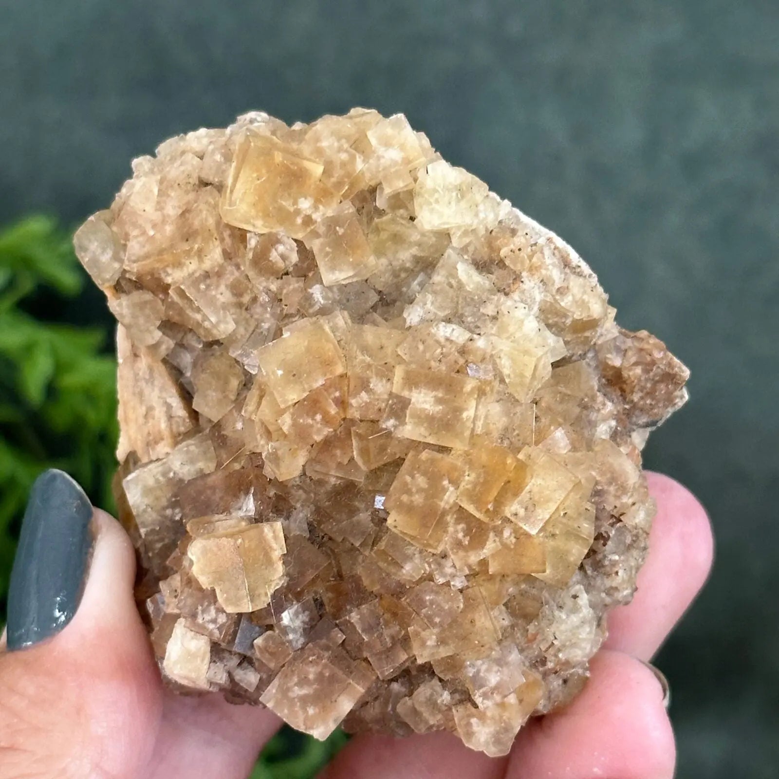 Golden Fluorite cluster Castle Rocks Cornwall