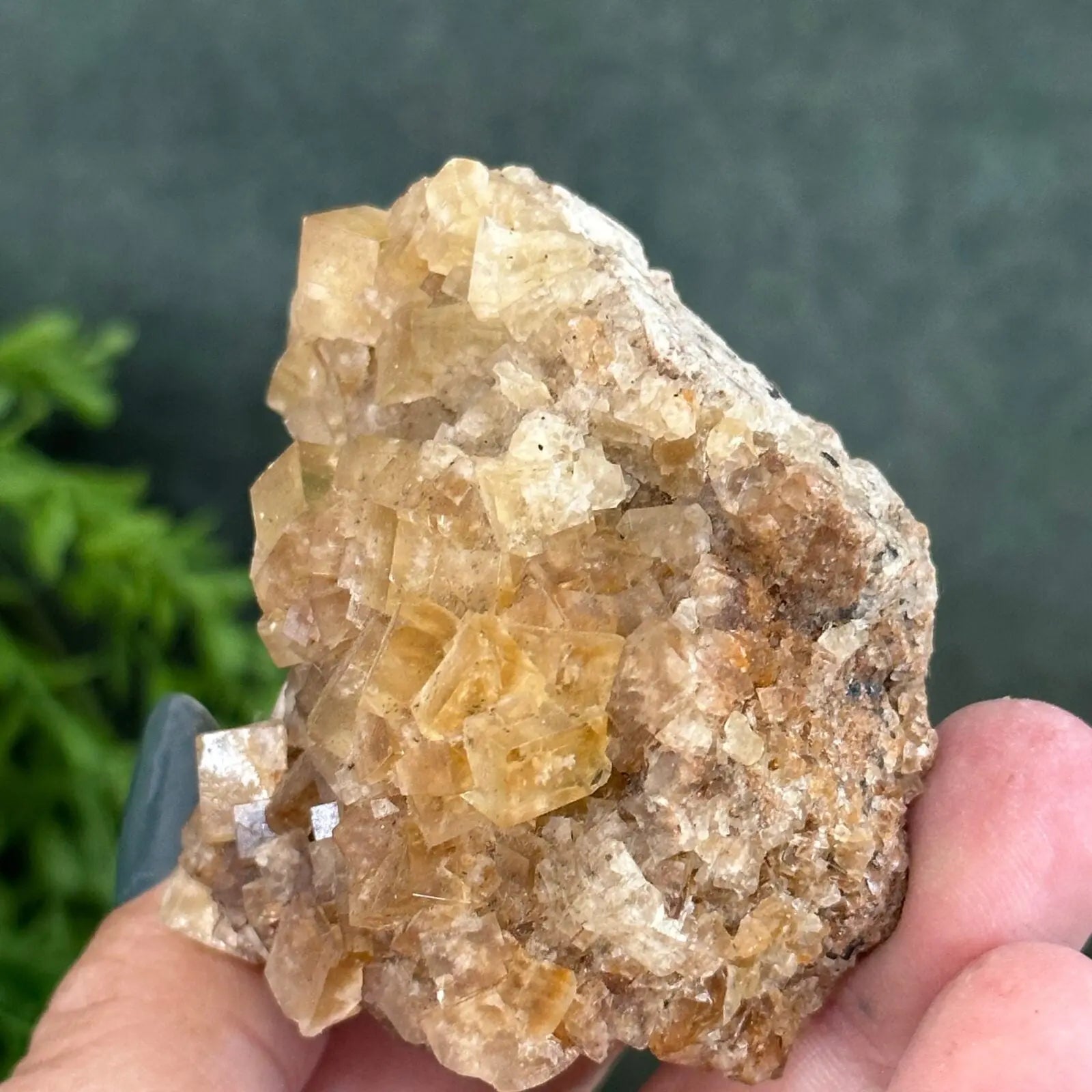 Golden Fluorite cluster Castle Rocks Cornwall