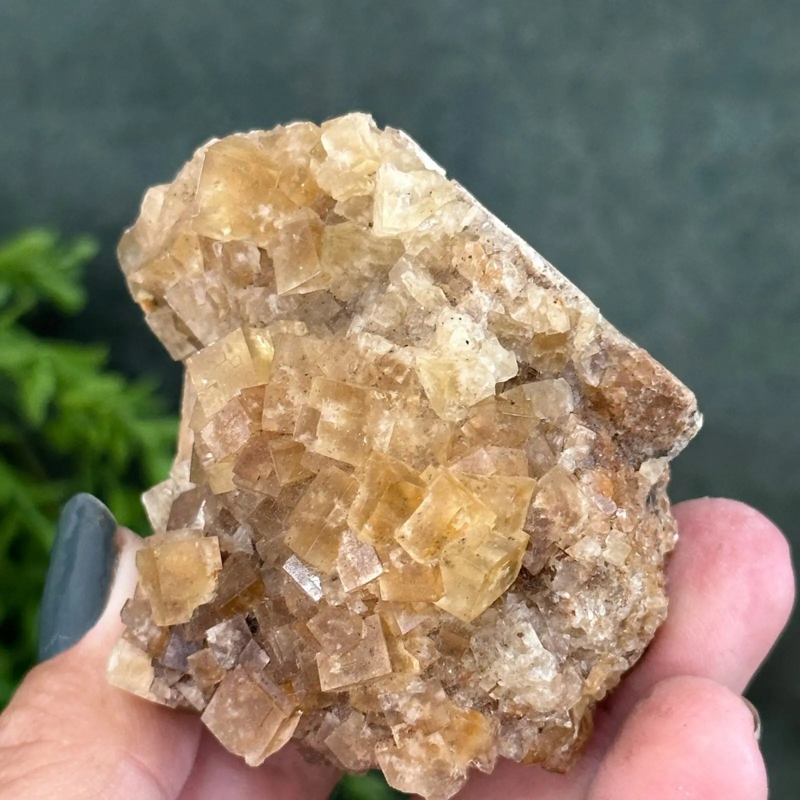 Golden Fluorite cluster Castle Rocks Cornwall