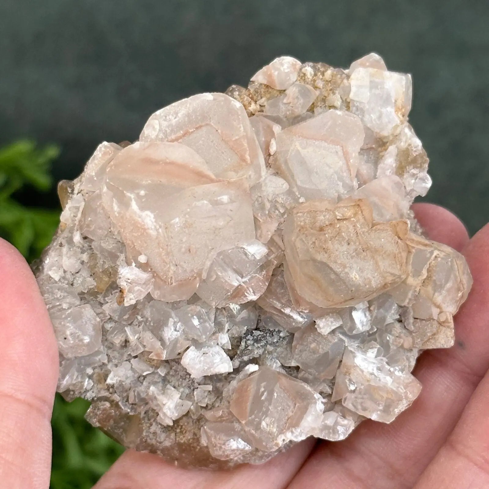 Golden Fluorite cluster Castle Rocks Cornwall