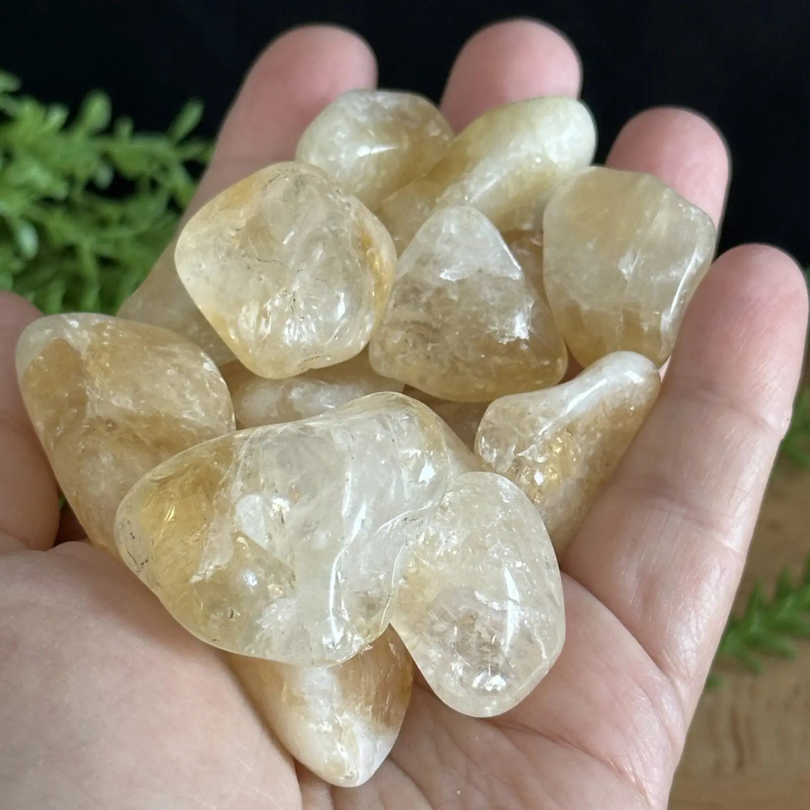 Common Citrine tumbled stones Castle Rocks Cornwall
