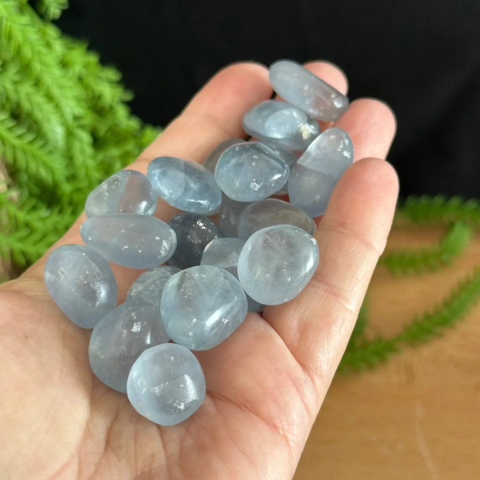 Celestite Tumbled Stones Castle Rocks Cornwall
