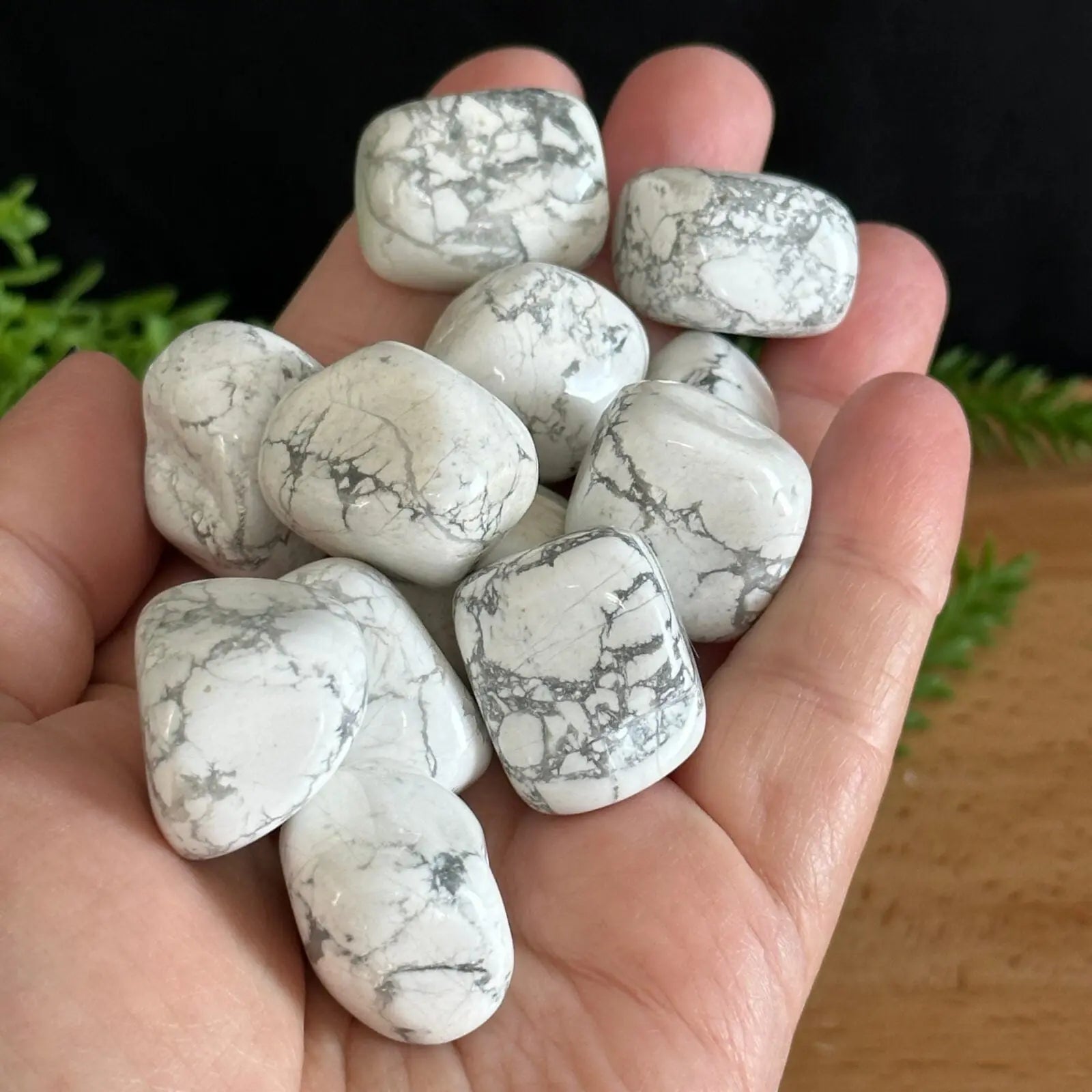 Howlite Tumbled Stones Castle Rocks Cornwall