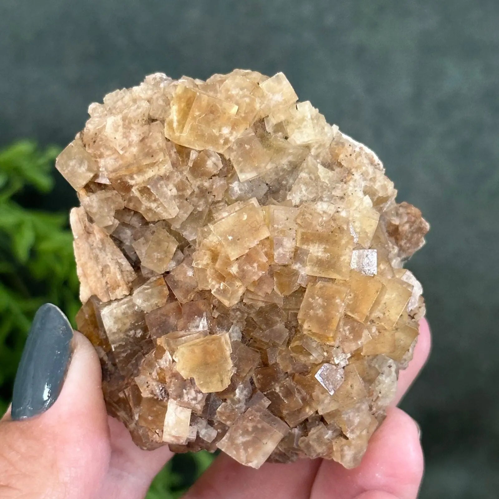 Golden Fluorite cluster Castle Rocks Cornwall