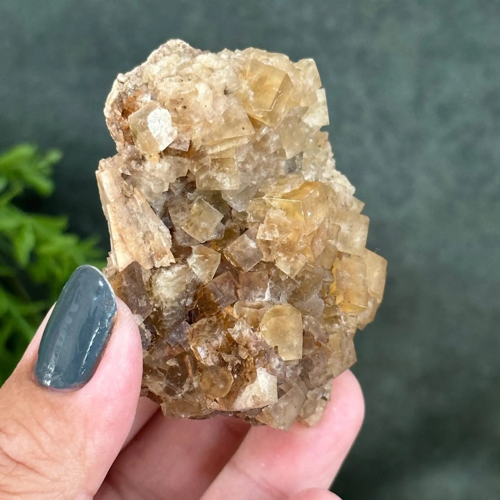 Golden Fluorite cluster Castle Rocks Cornwall