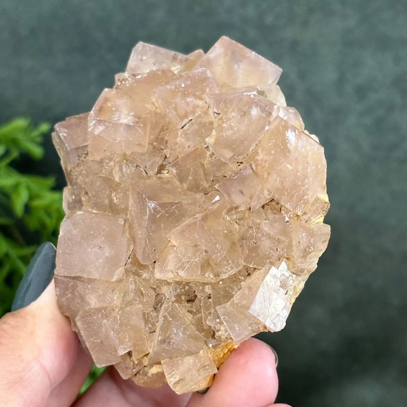 Fluorite cluster from UK Castle Rocks Cornwall