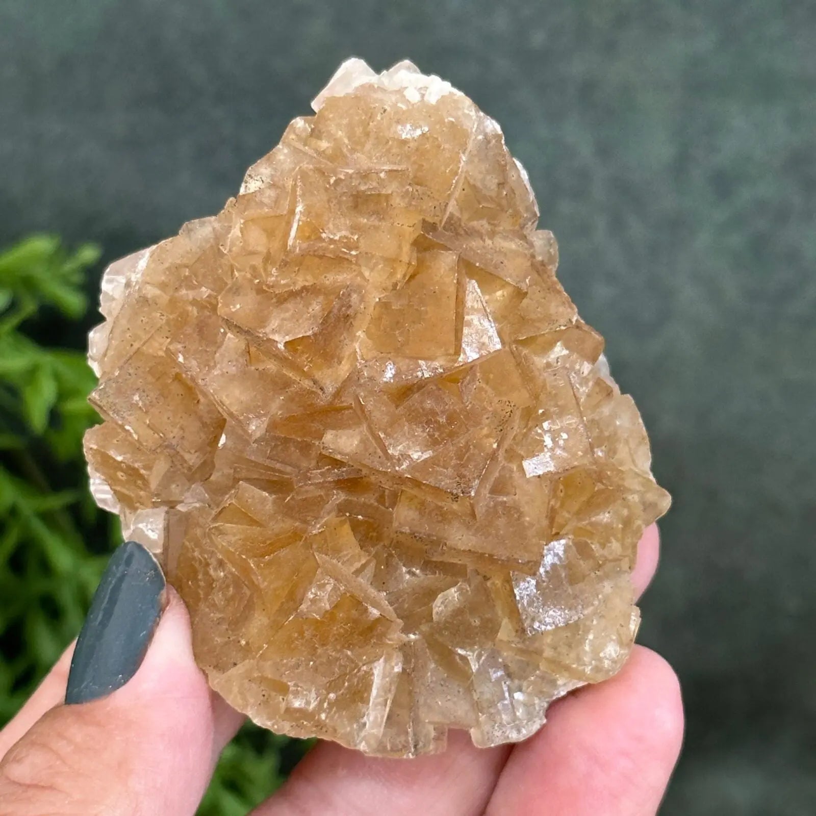 Golden Fluorite cluster Castle Rocks Cornwall