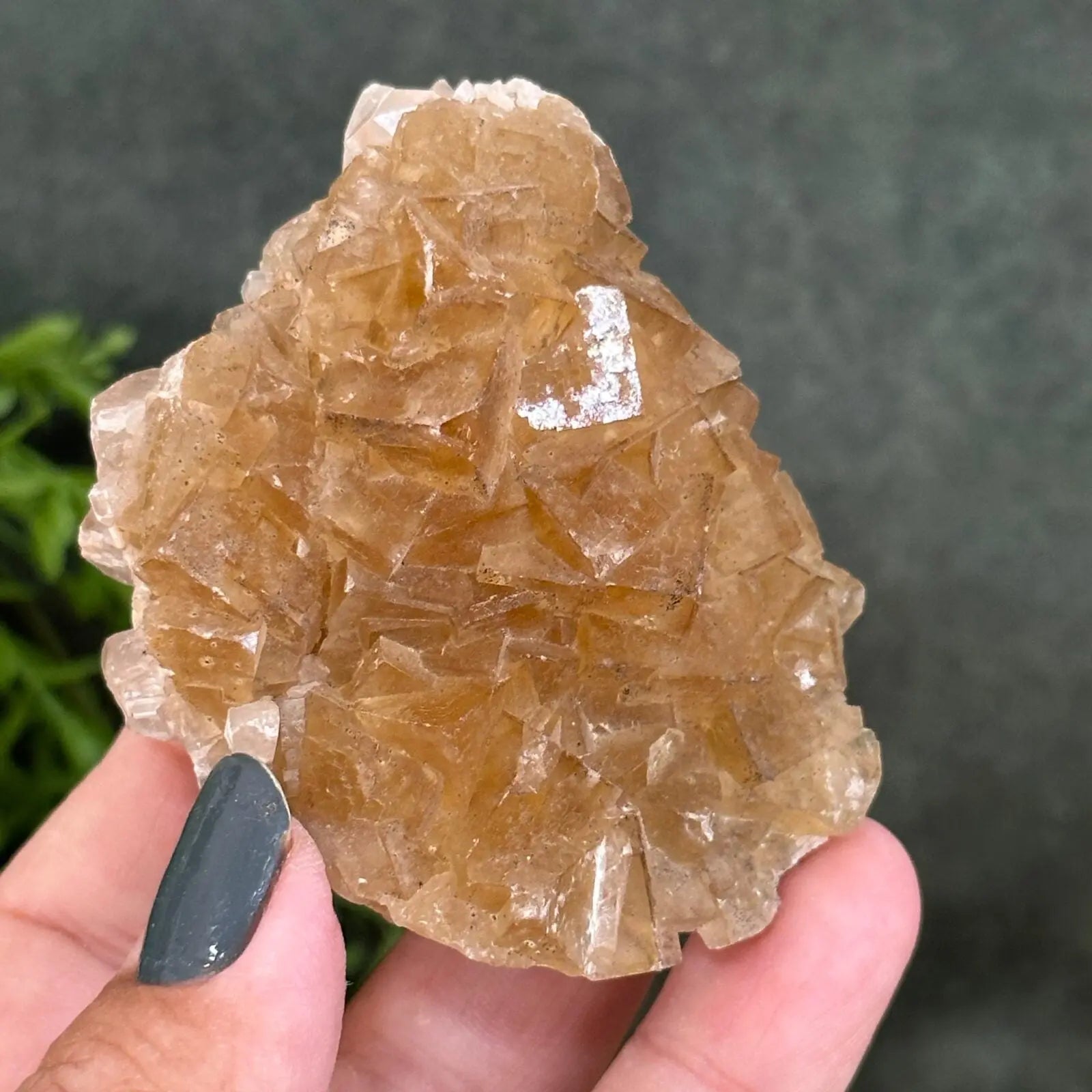 Golden Fluorite cluster Castle Rocks Cornwall