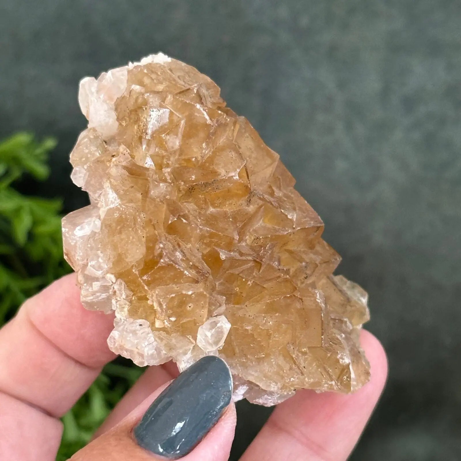 Golden Fluorite cluster Castle Rocks Cornwall