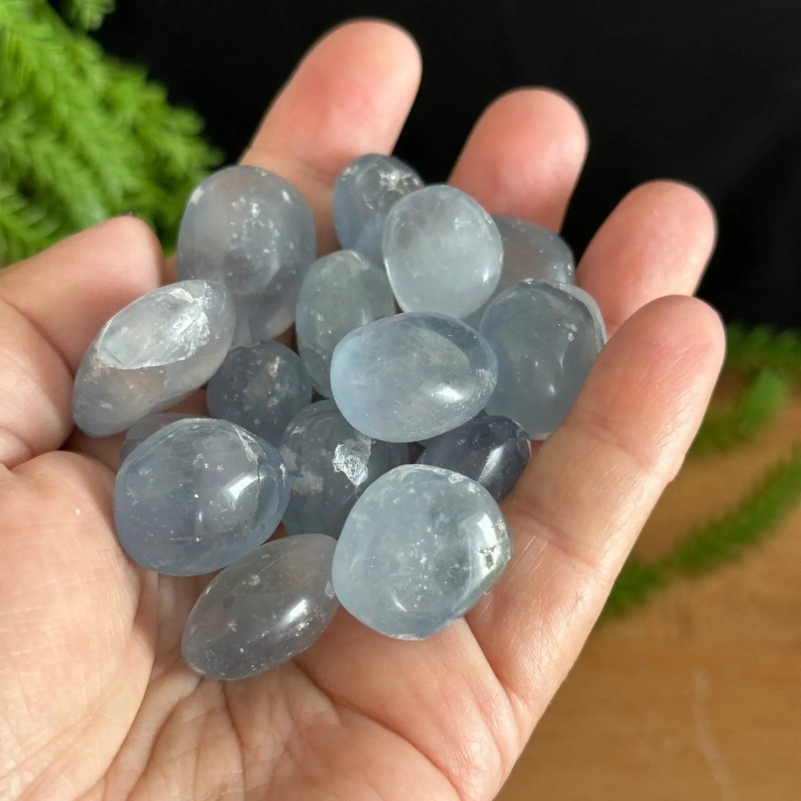 Celestite Tumbled Stones Castle Rocks Cornwall