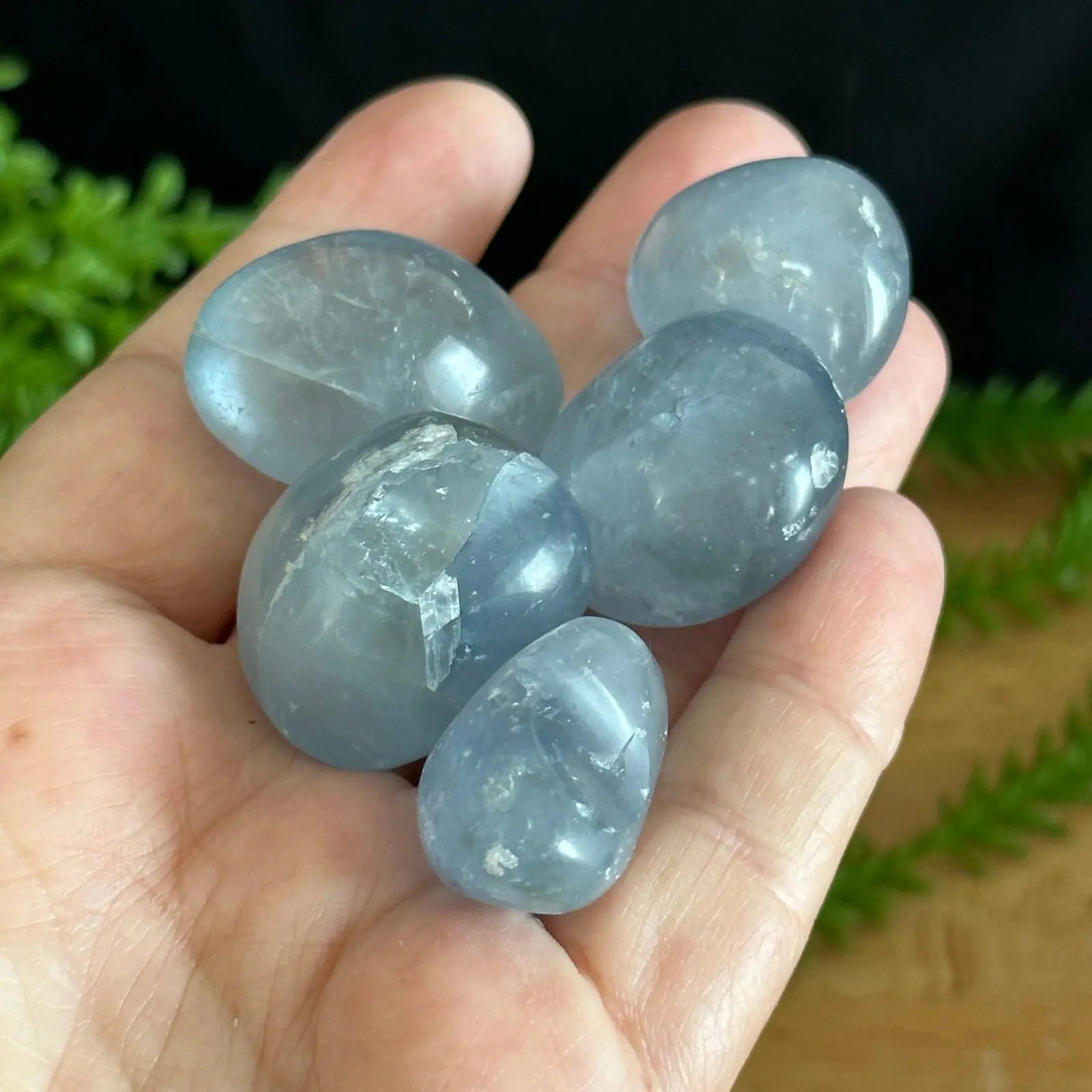 Celestite Tumbled Stones Castle Rocks Cornwall