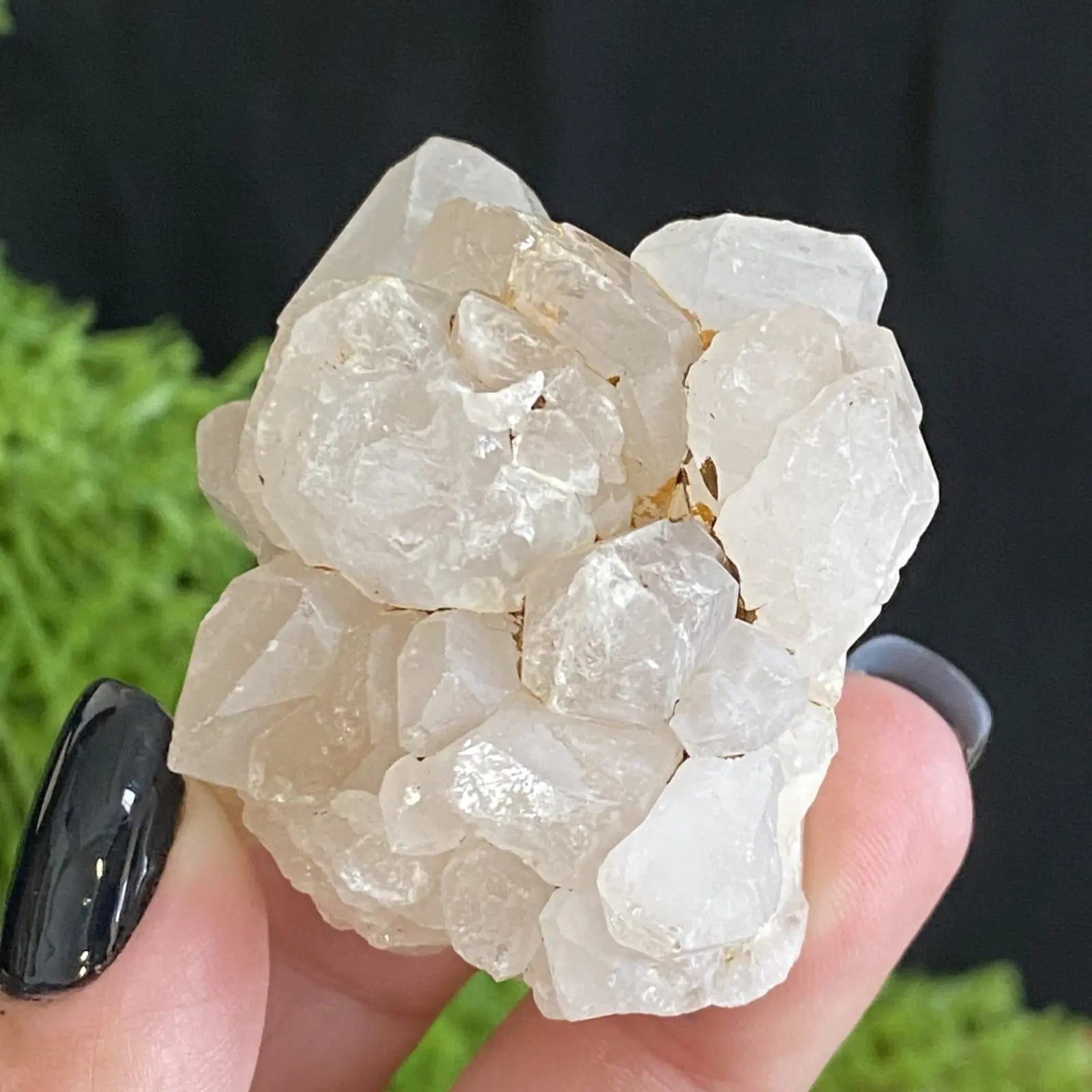 Quartz Flower Bud from Madagascar Castle Rocks Cornwall