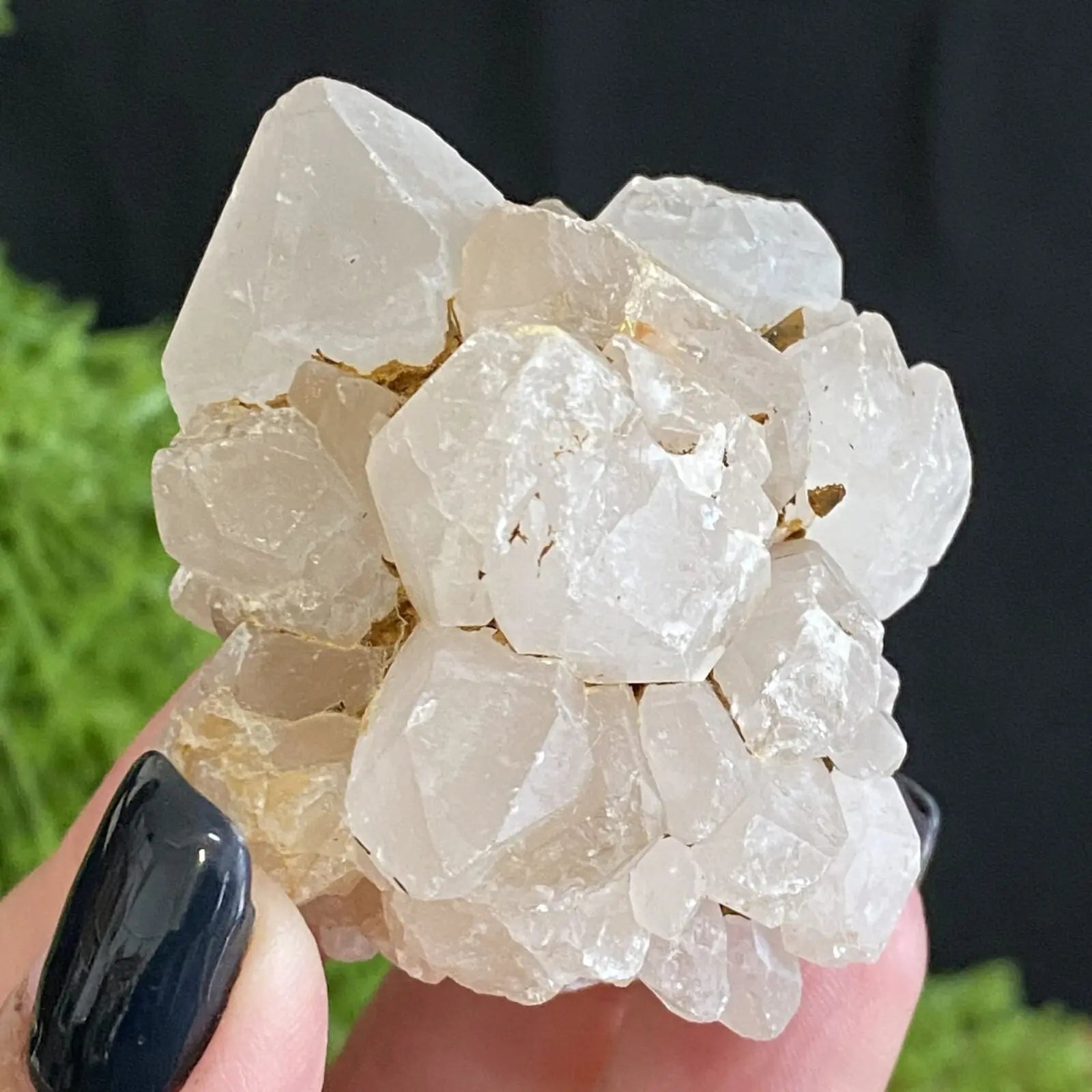 Quartz Flower Bud from Madagascar Castle Rocks Cornwall