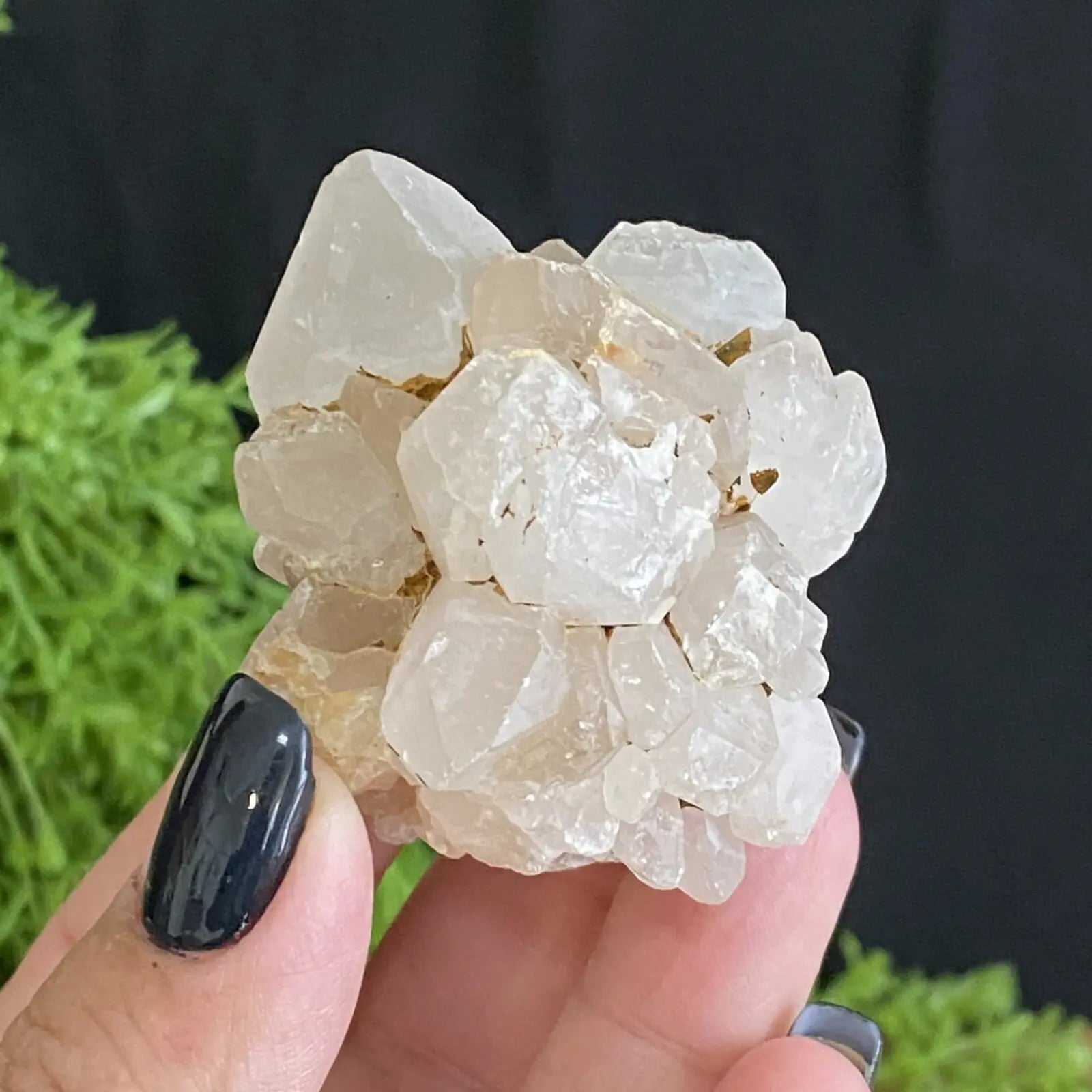 Quartz Flower Bud from Madagascar Castle Rocks Cornwall