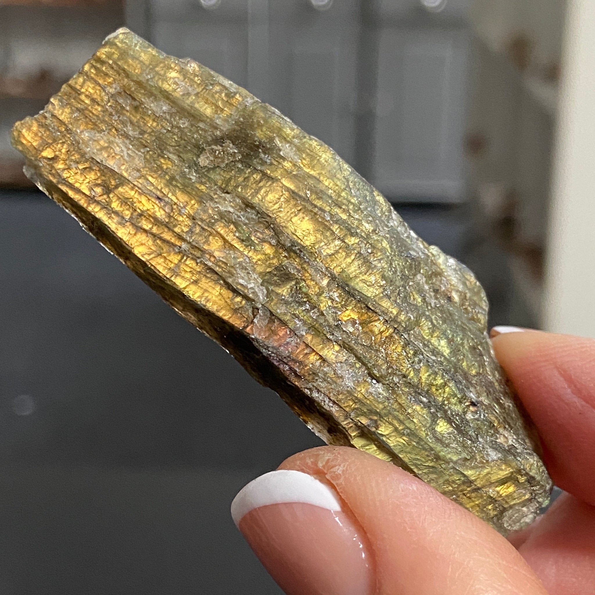 Madagascan Labradorite Slice – New Beginnings & Intuition - Castle Rocks Cornwall