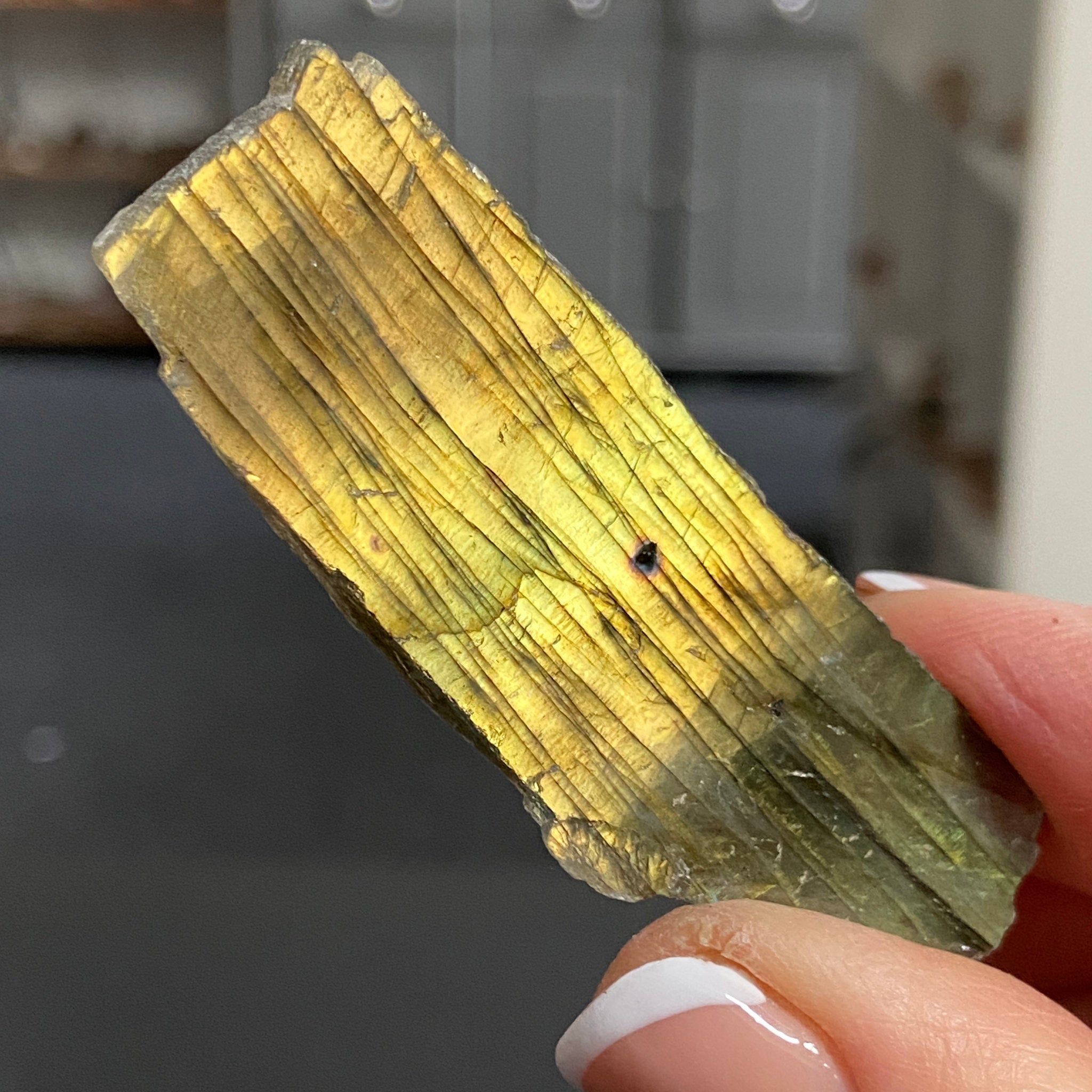 Madagascan Labradorite Slice – New Beginnings & Intuition - Castle Rocks Cornwall