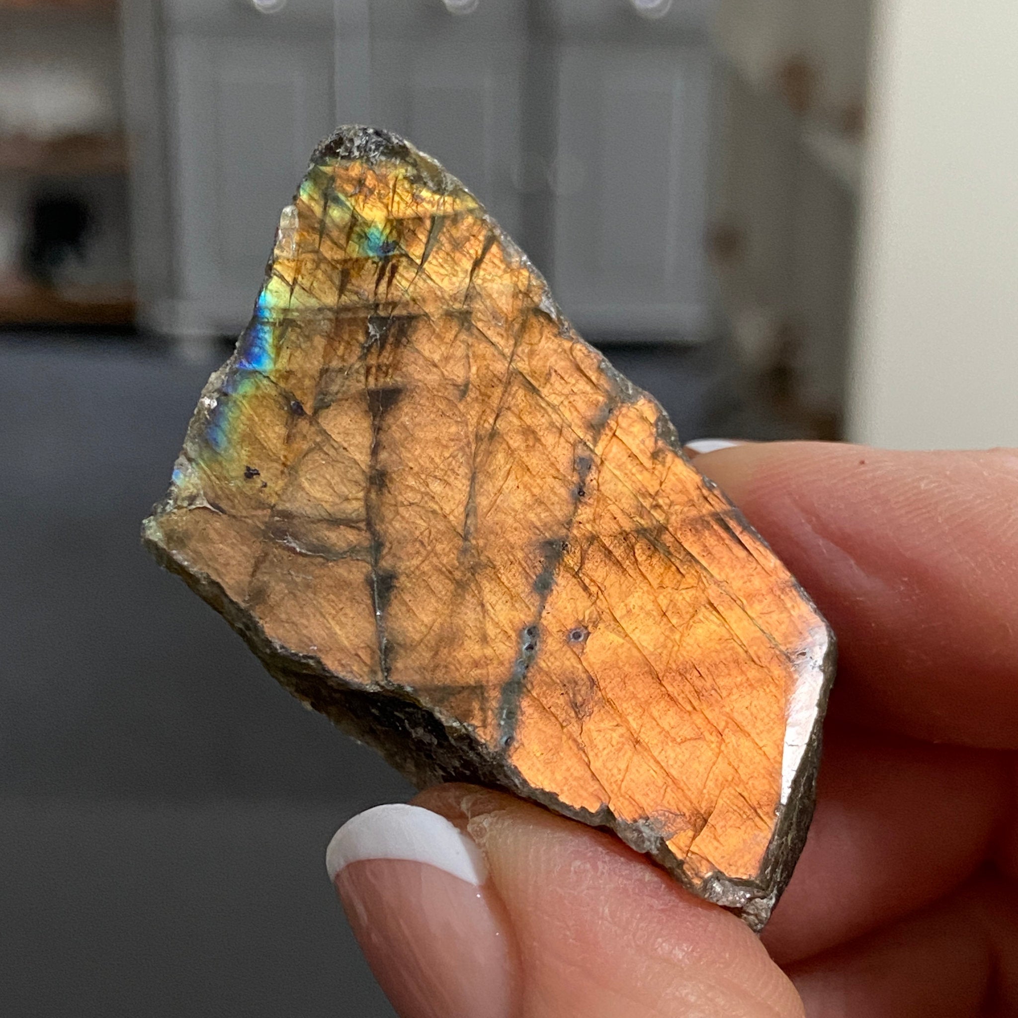 Madagascan Labradorite Slice – New Beginnings & Intuition - Castle Rocks Cornwall